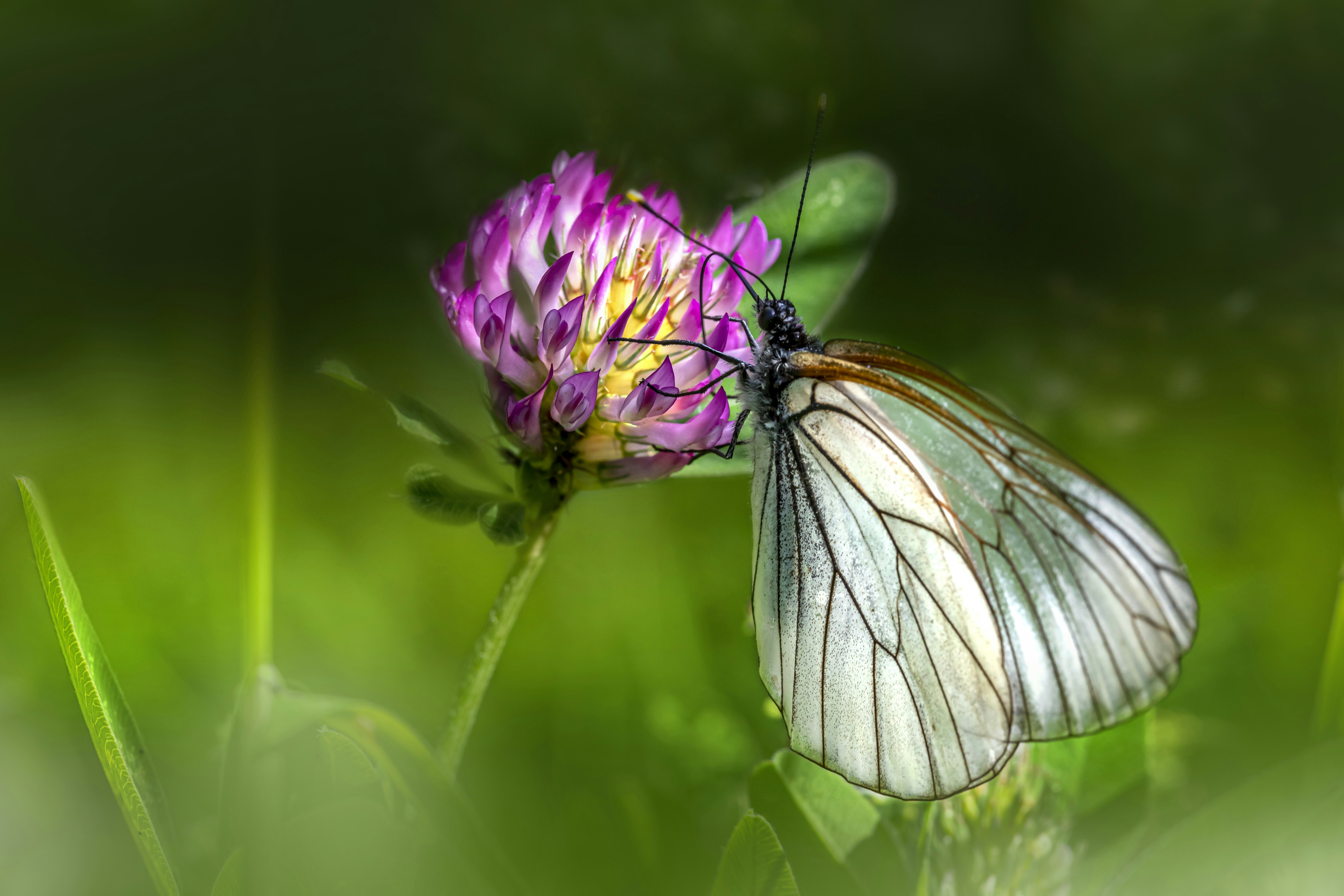 Photo by erik_karits