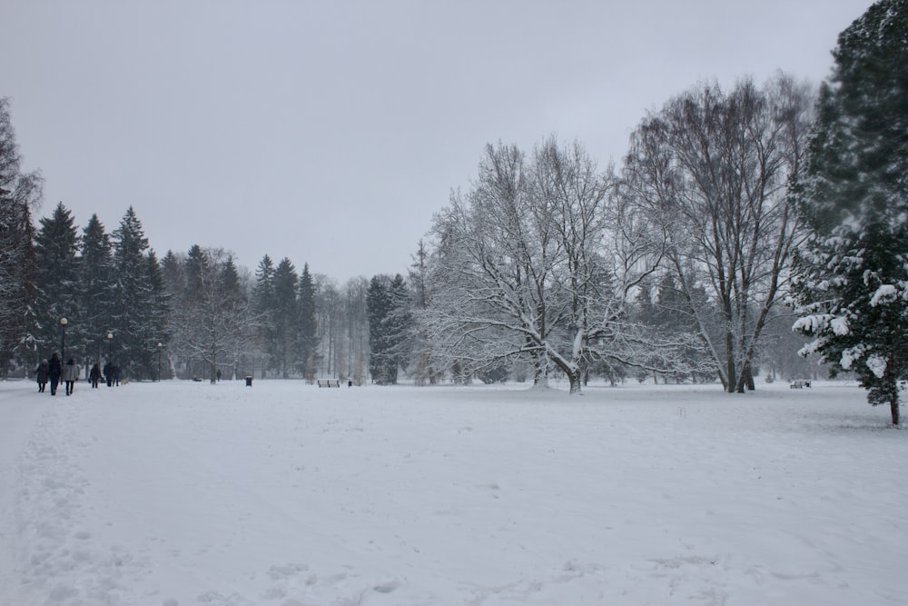 a group of people walking through a snow covered park