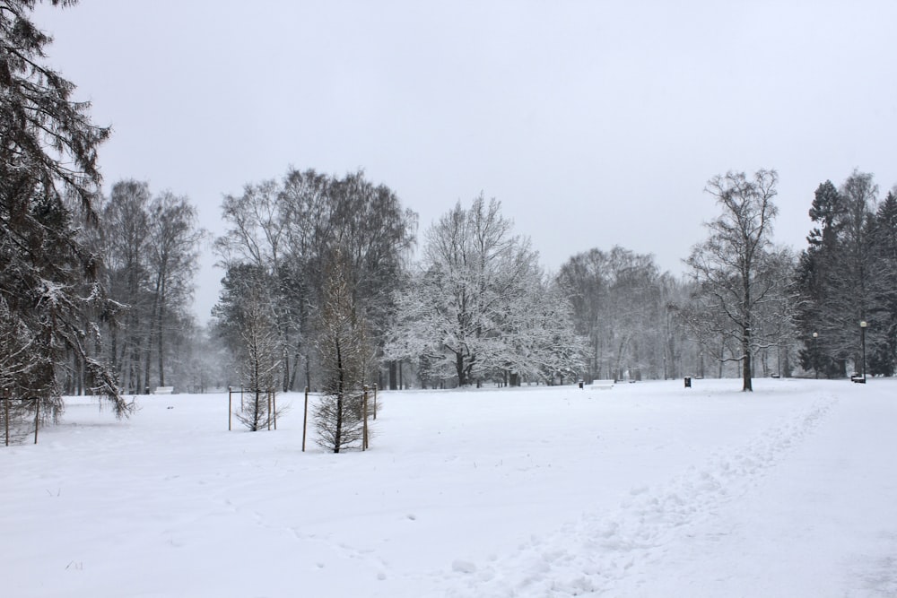 a snow covered field with trees in the background