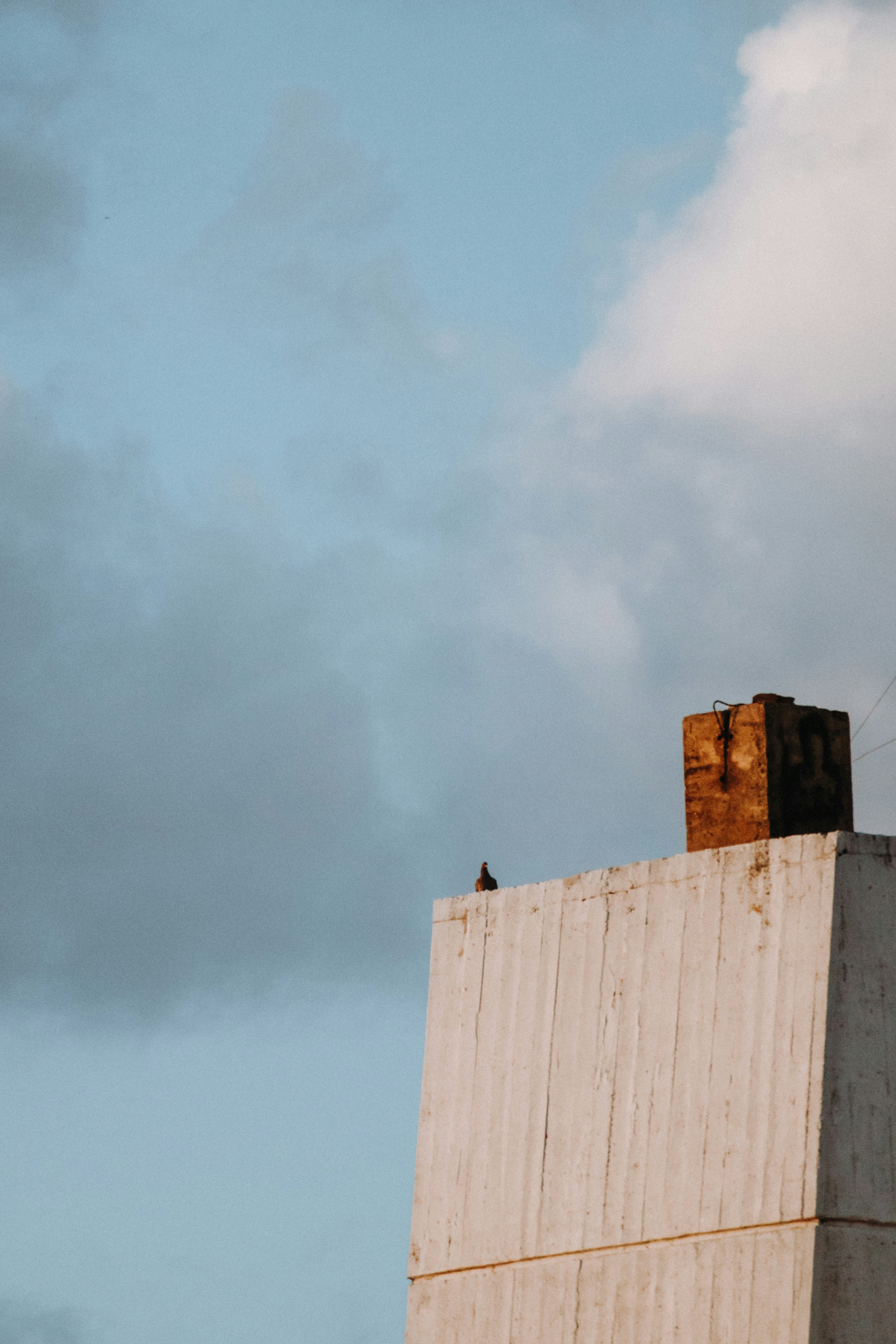 Photo by nature_of_the_experiment