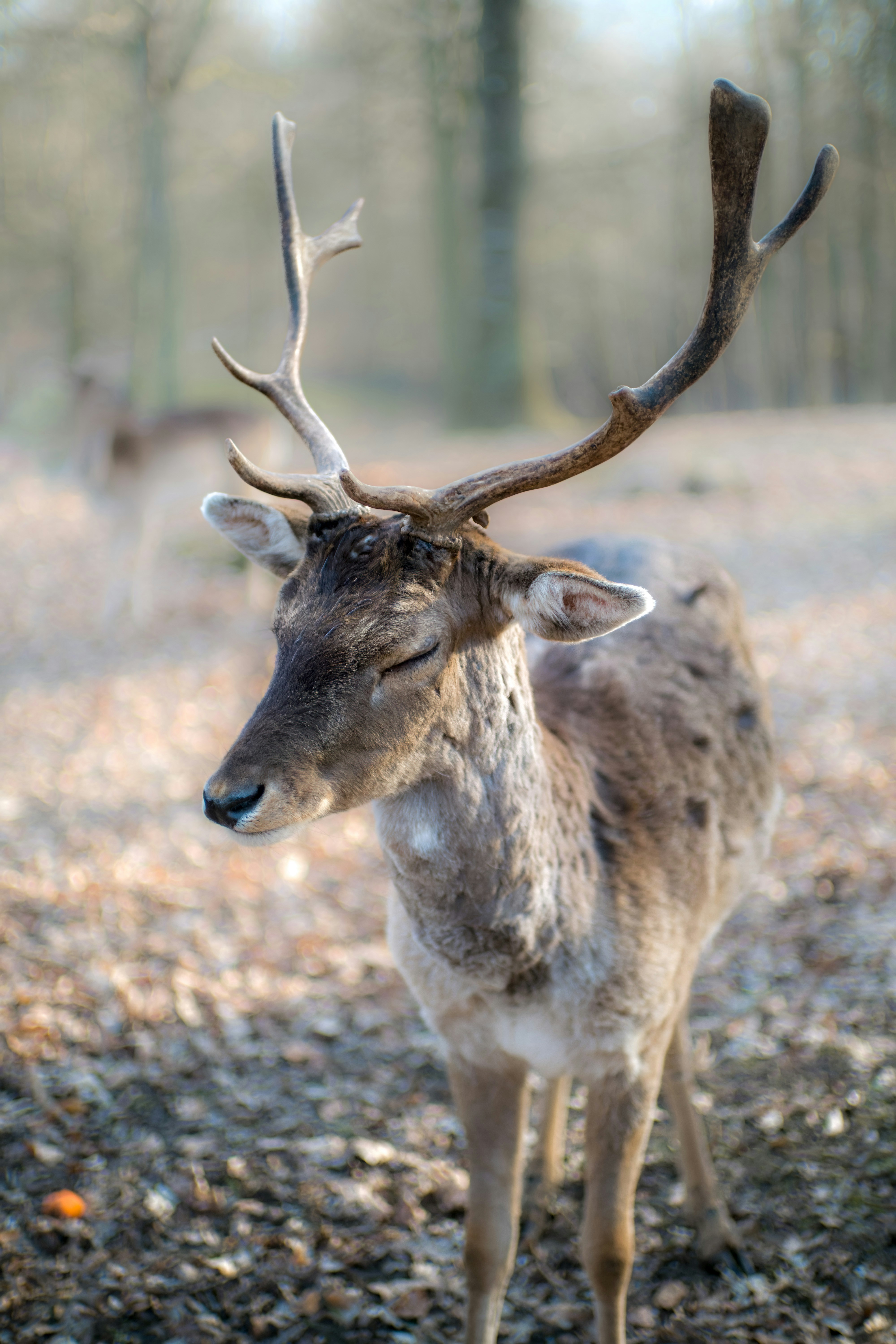 Photo by markobrecic