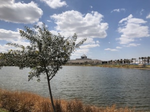 A serene landscape symbolizing hope and growth, with a tree representing life and continuity.