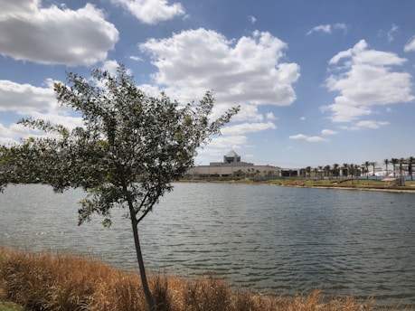 A serene landscape depicting a tree symbolizing financial growth.