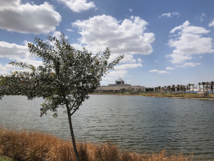 A serene landscape depicting a flourishing tree symbolizing financial growth.