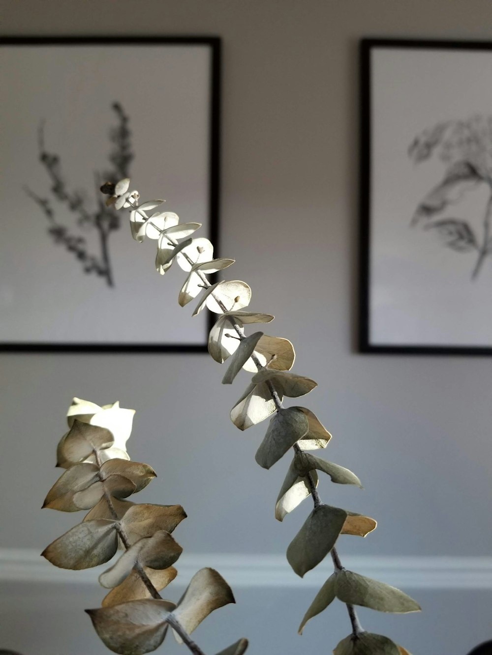 a metal sculpture of a plant in front of two framed pictures