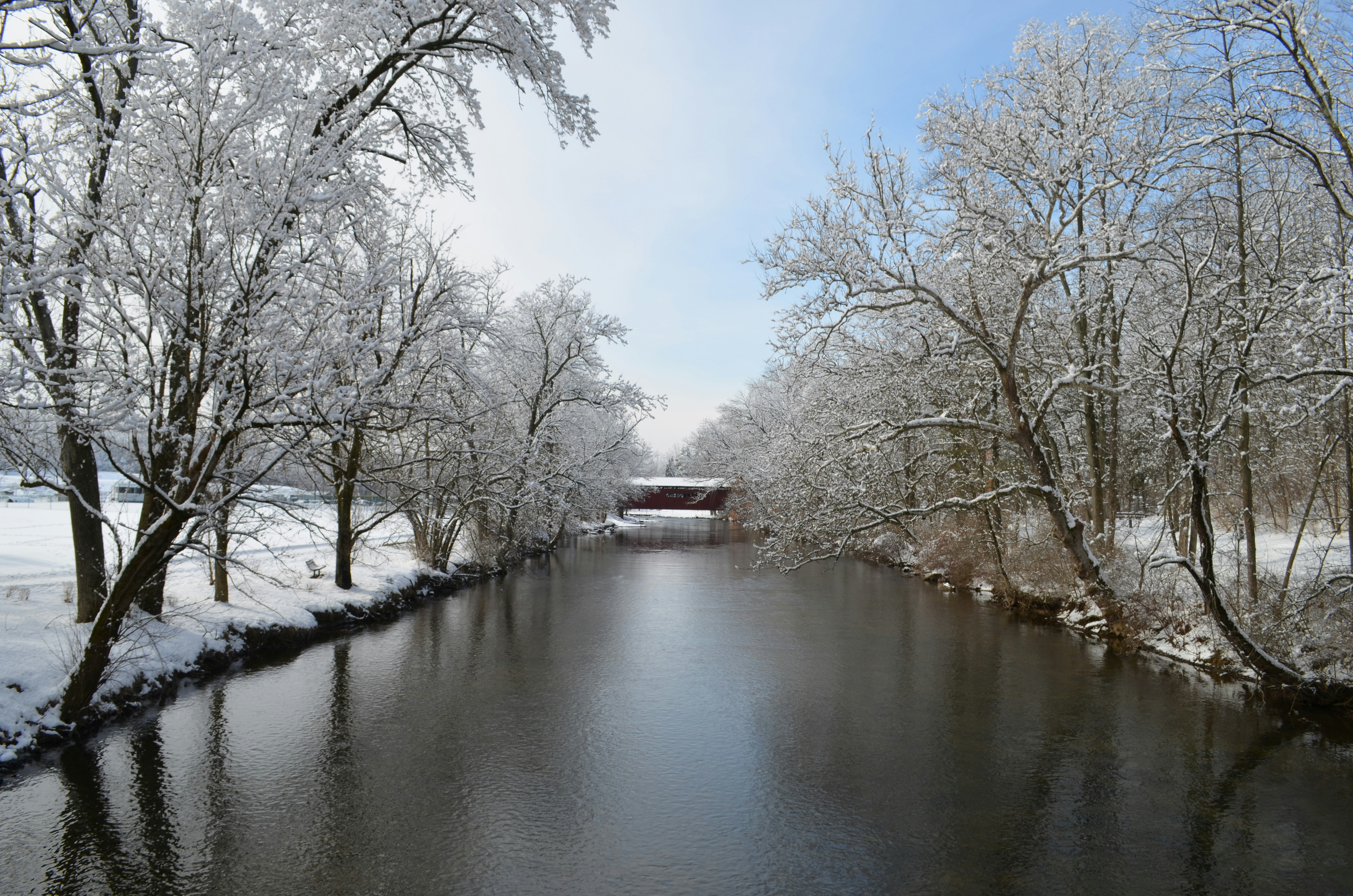 Un río que atraviesa un bosque cubierto de nieve