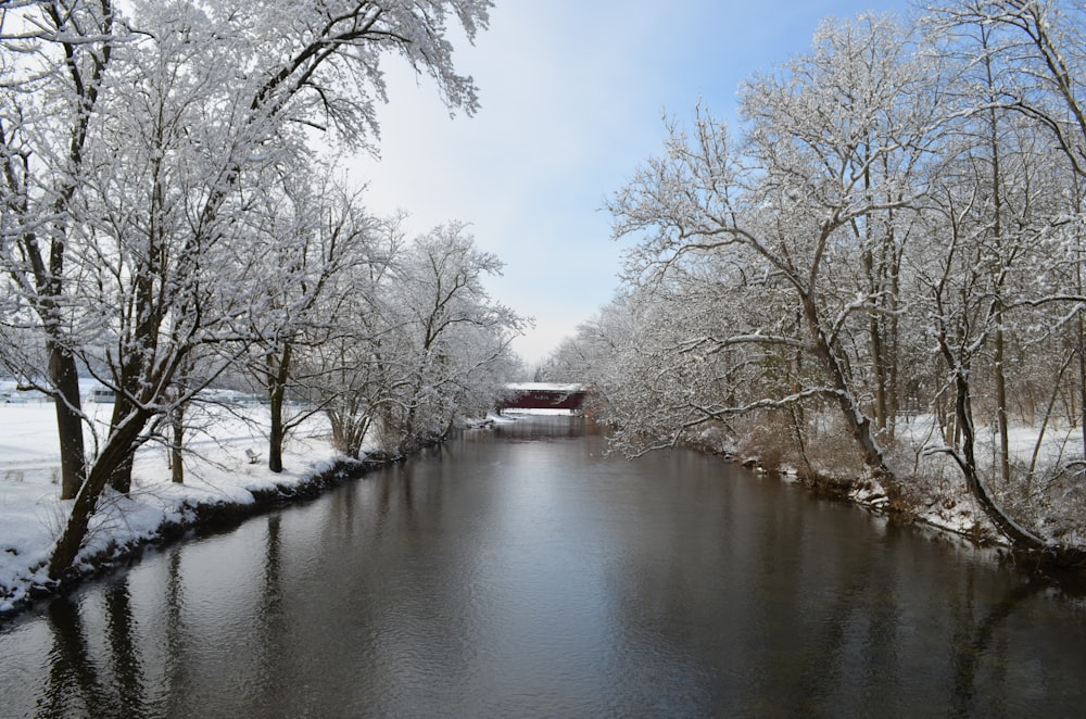 a river running through a snow covered forest