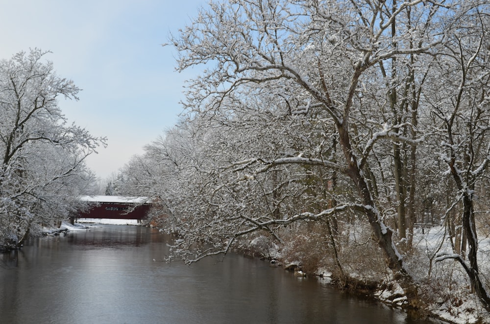 a river with snow covered trees and a covered bridge