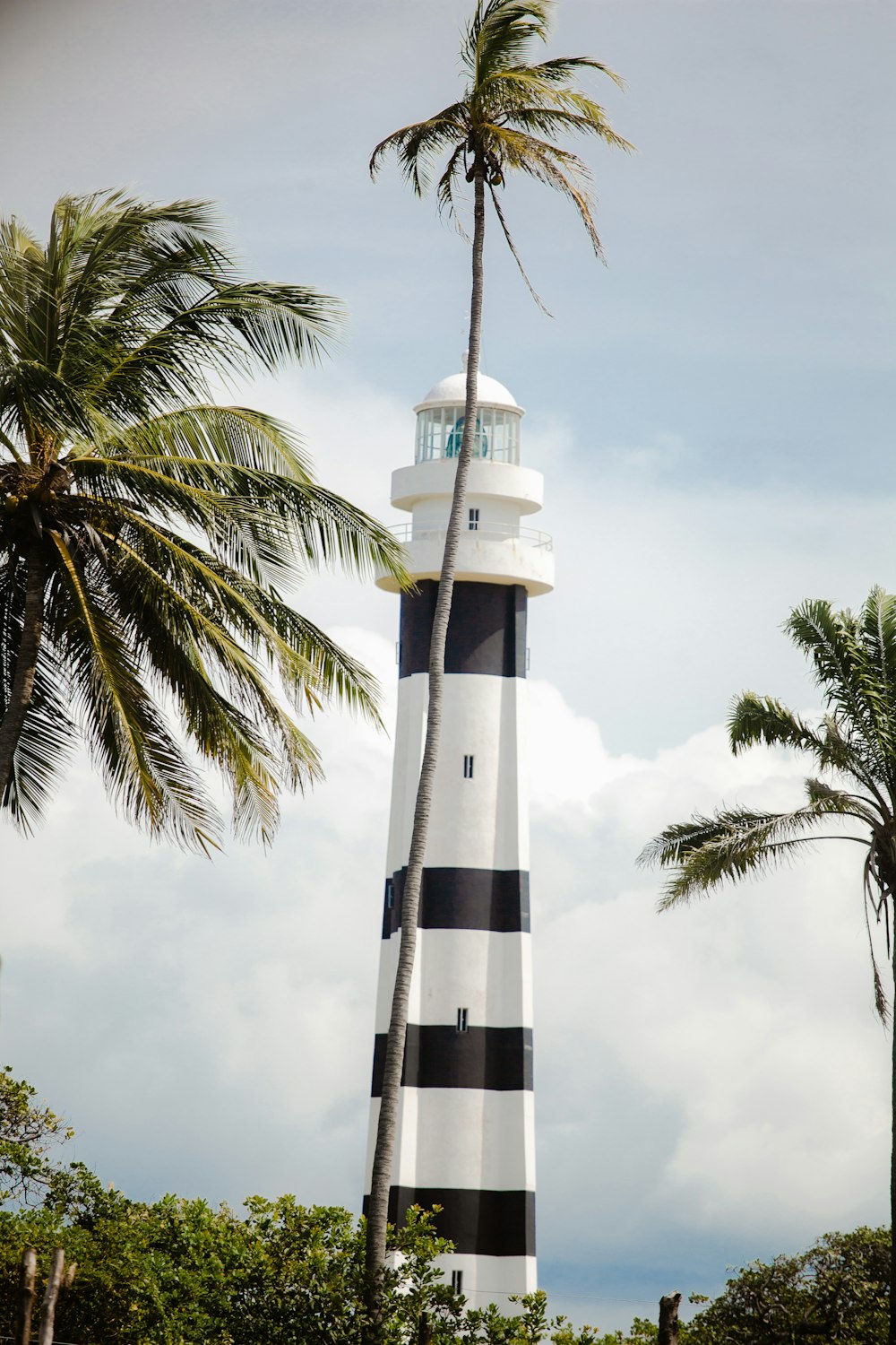 a black and white lighthouse with a palm tree in the foreground