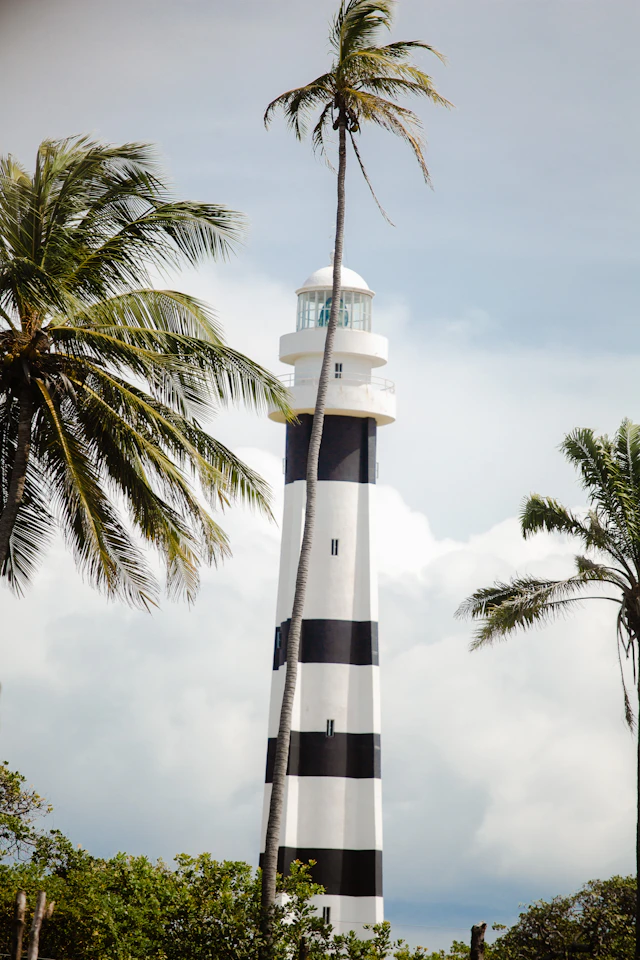 Vista de Farol de Mandacaru