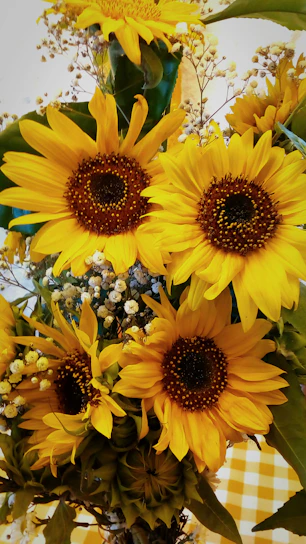 A cheerful arrangement of yellow sunflowers with dark centers, set against a rustic wooden background.
