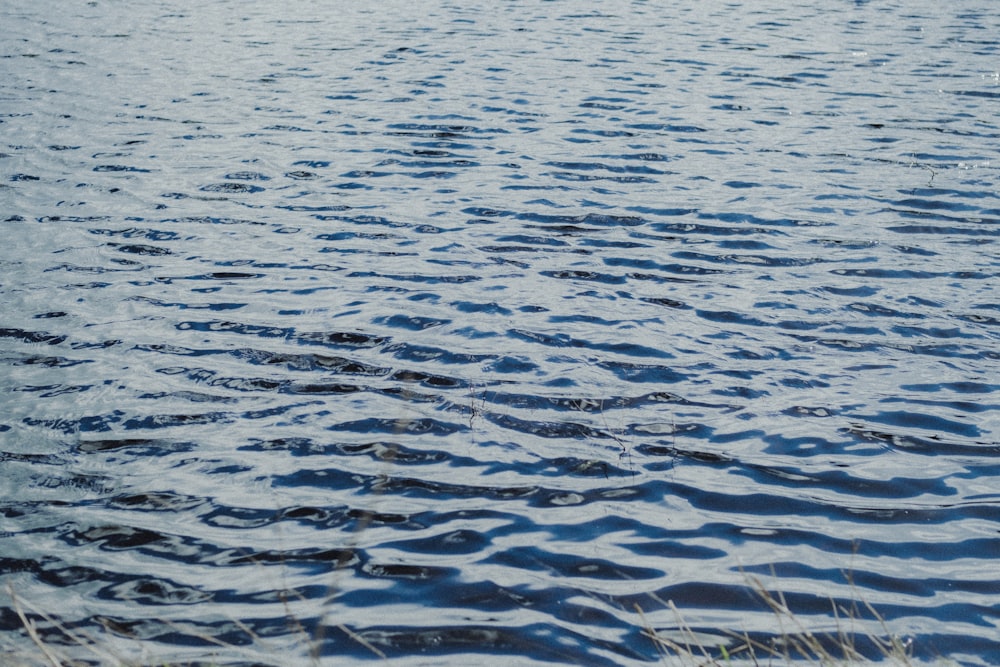 a body of water with a boat in the distance