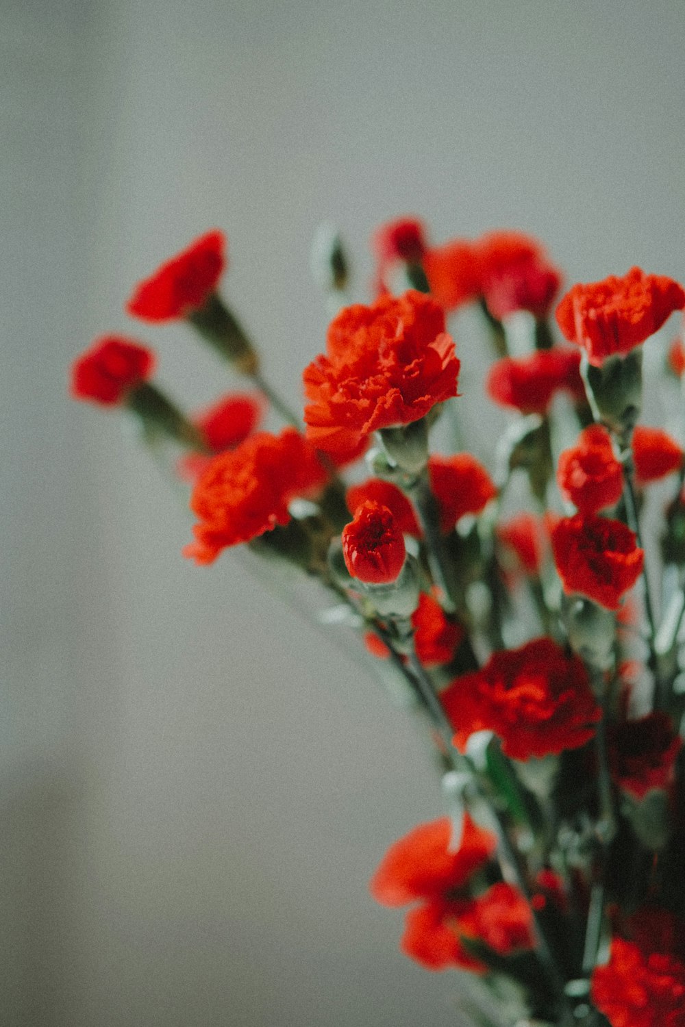 a vase filled with red flowers on top of a table