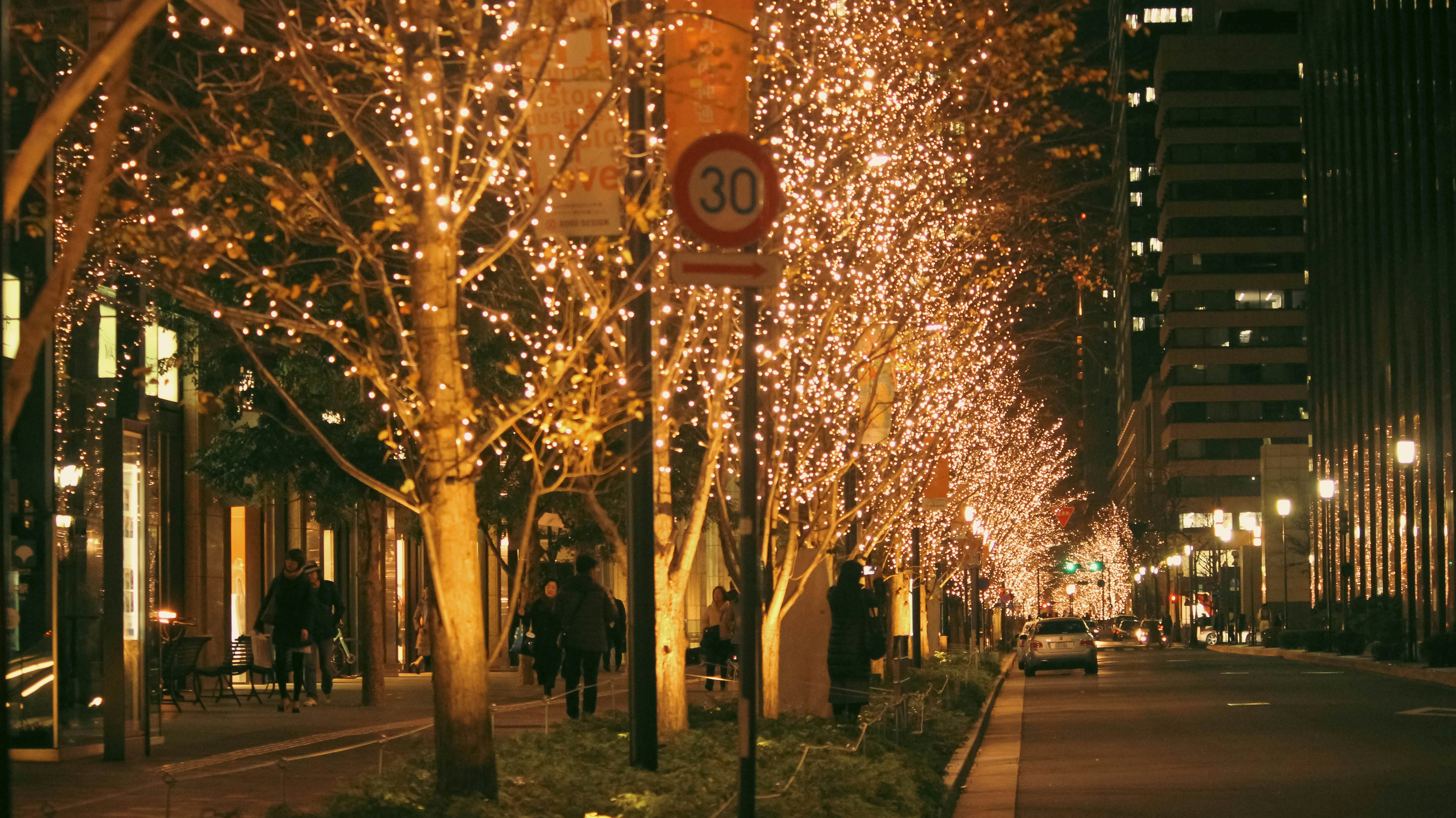 Tree-lined Tokyo street at night illuminated with festive lights and minimal pedestrians, illustrating safe late-night strolls