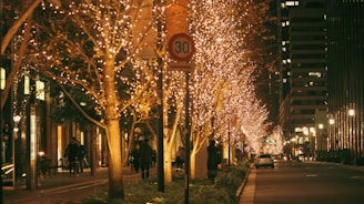 tokyo christmas: best christmas destinations