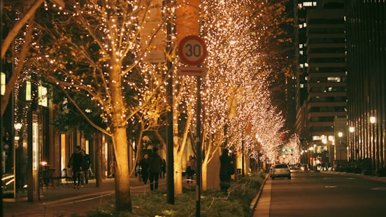 tokyo christmas: best christmas destinations