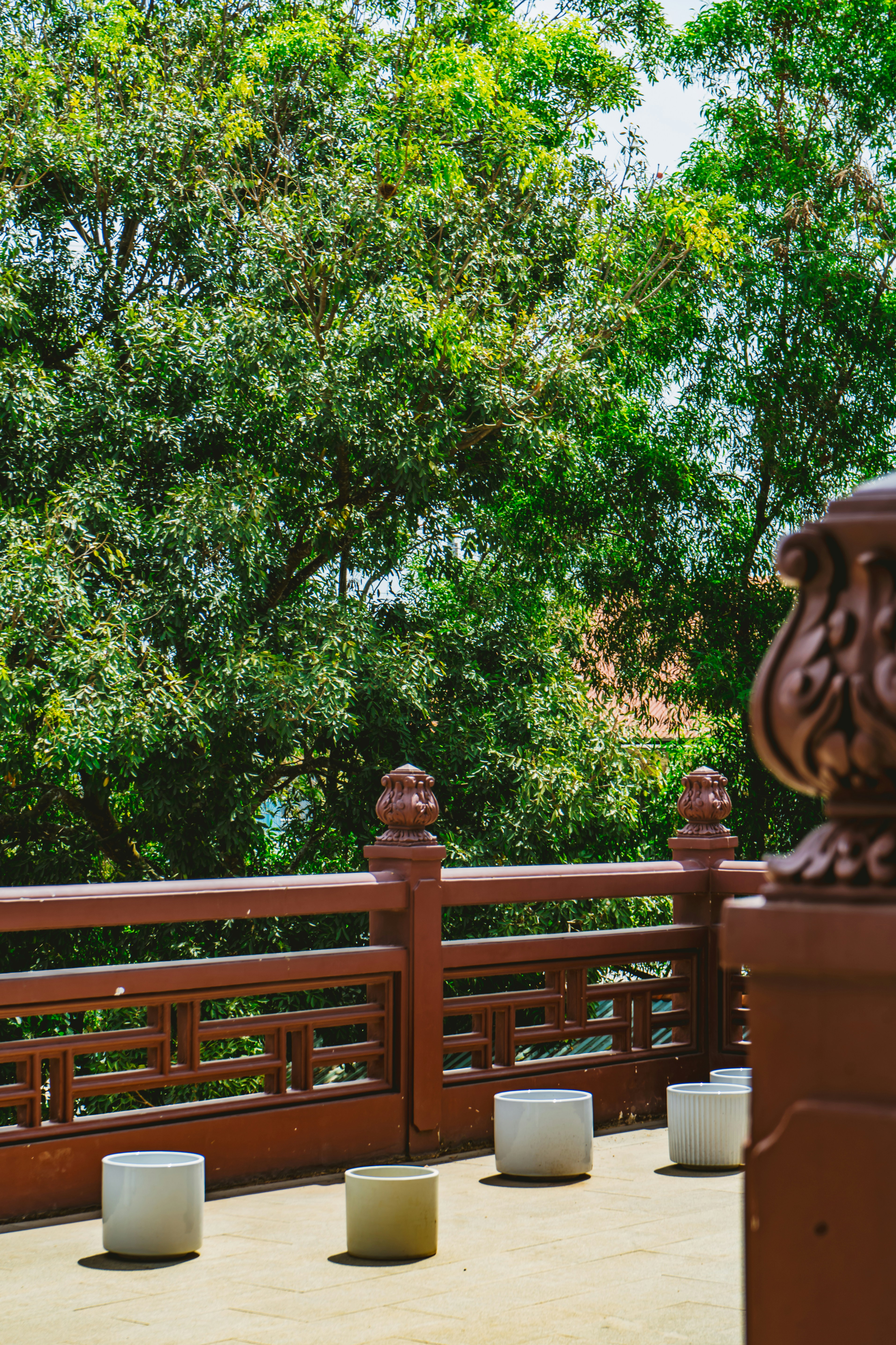 Photo by nguyennlongg