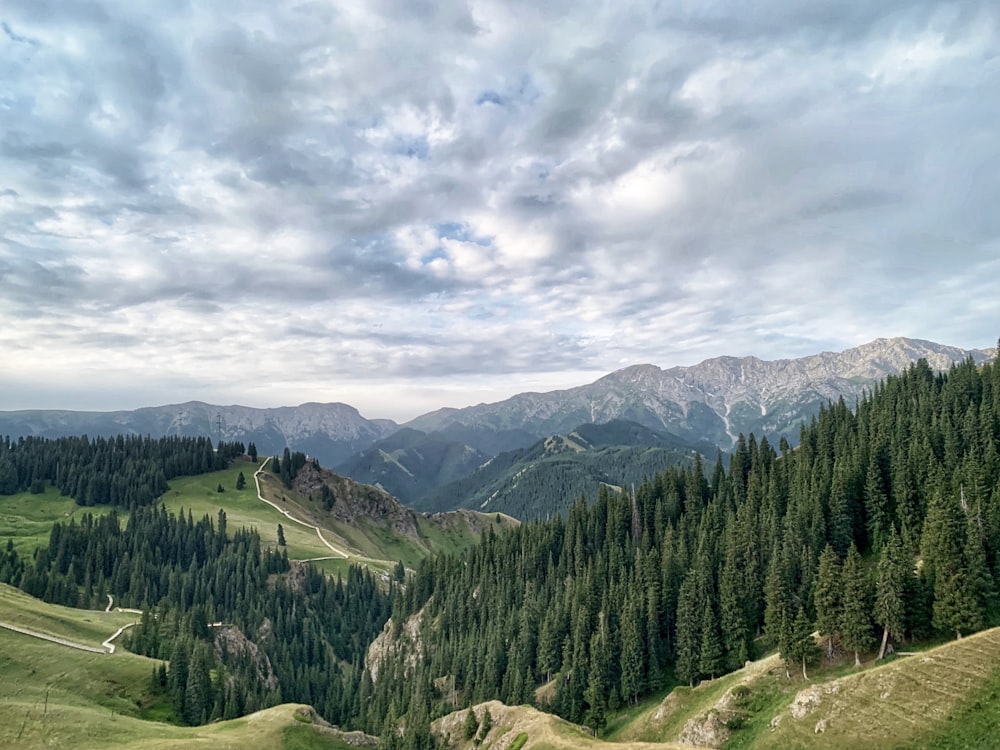 a scenic view of a mountain range with trees and mountains in the background