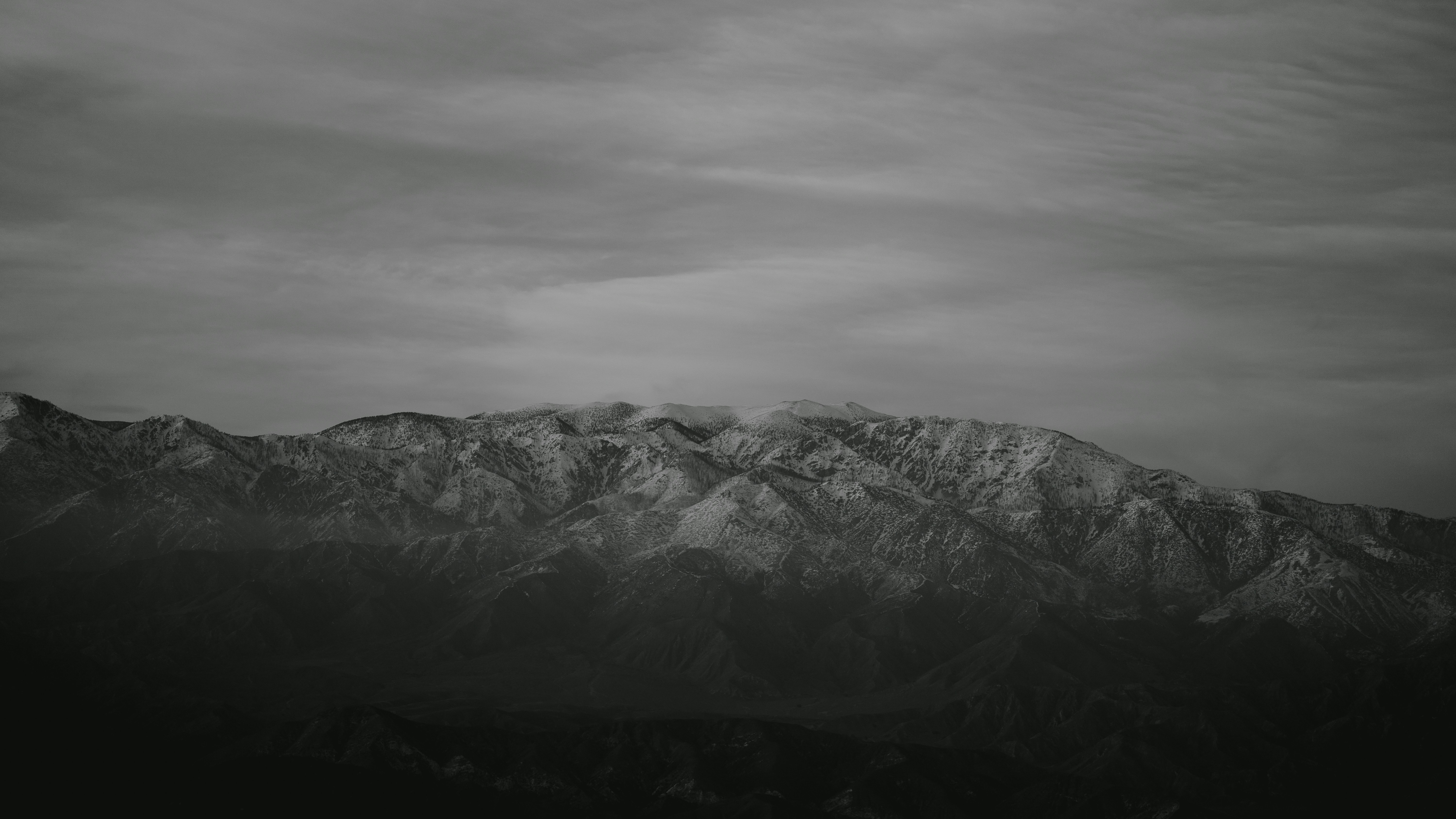 Photo by scourge7