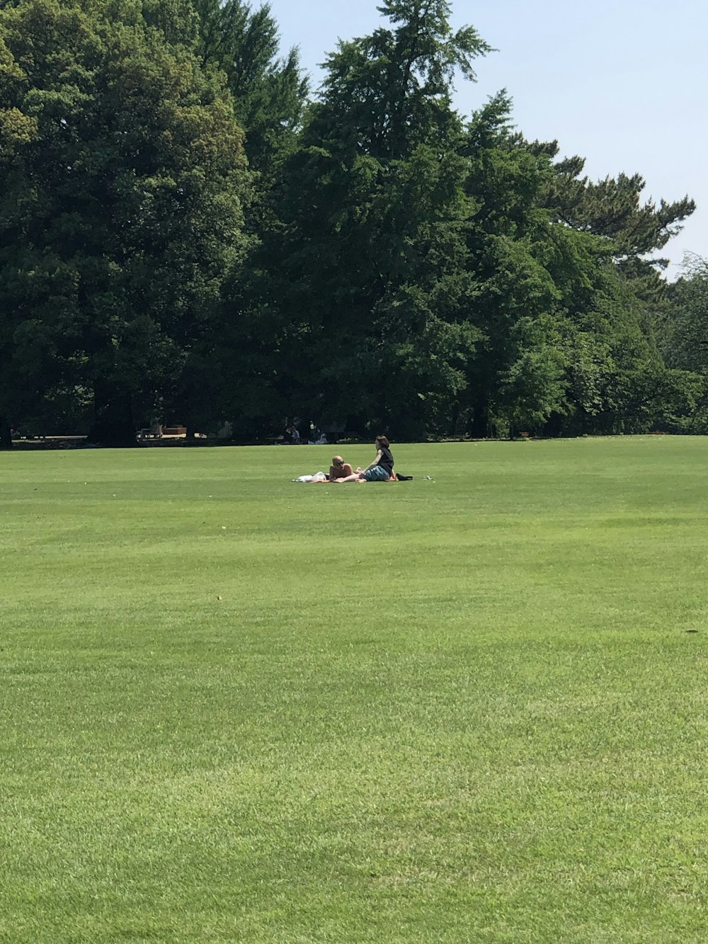 a person laying on the ground in a field