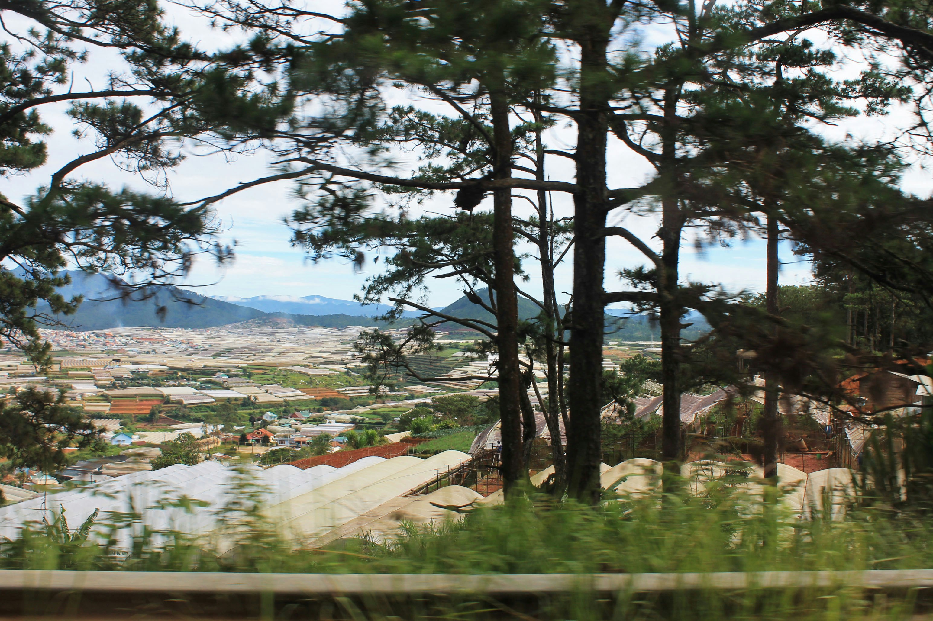 Pemandangan kota dari puncak bukit