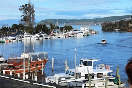 A peaceful marina with several boats docked along the waterfront. The water is calm, reflecting the boats and the clear sky above. In the background, there are distant mountains, lush greenery, and scattered buildings. A single boat is seen cruising through the water, creating gentle ripples. Tall trees are visible along the shoreline, enhancing the serene atmosphere.