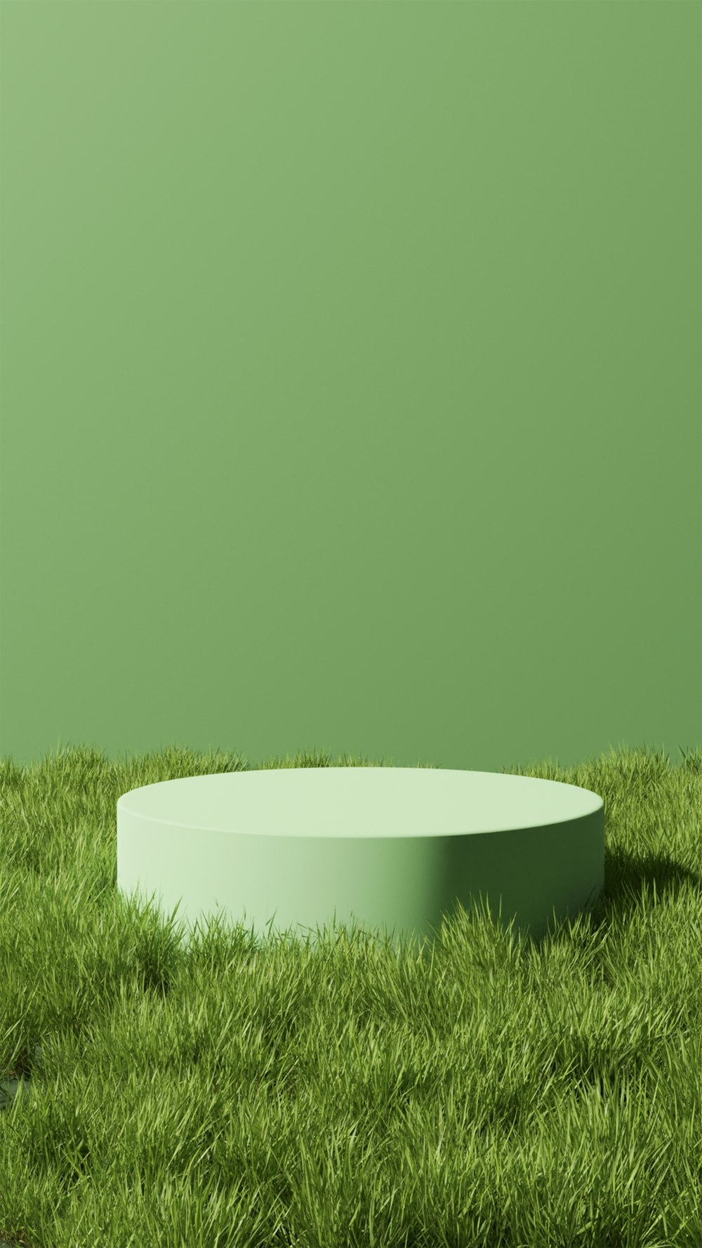 a round object sitting in the middle of some grass
