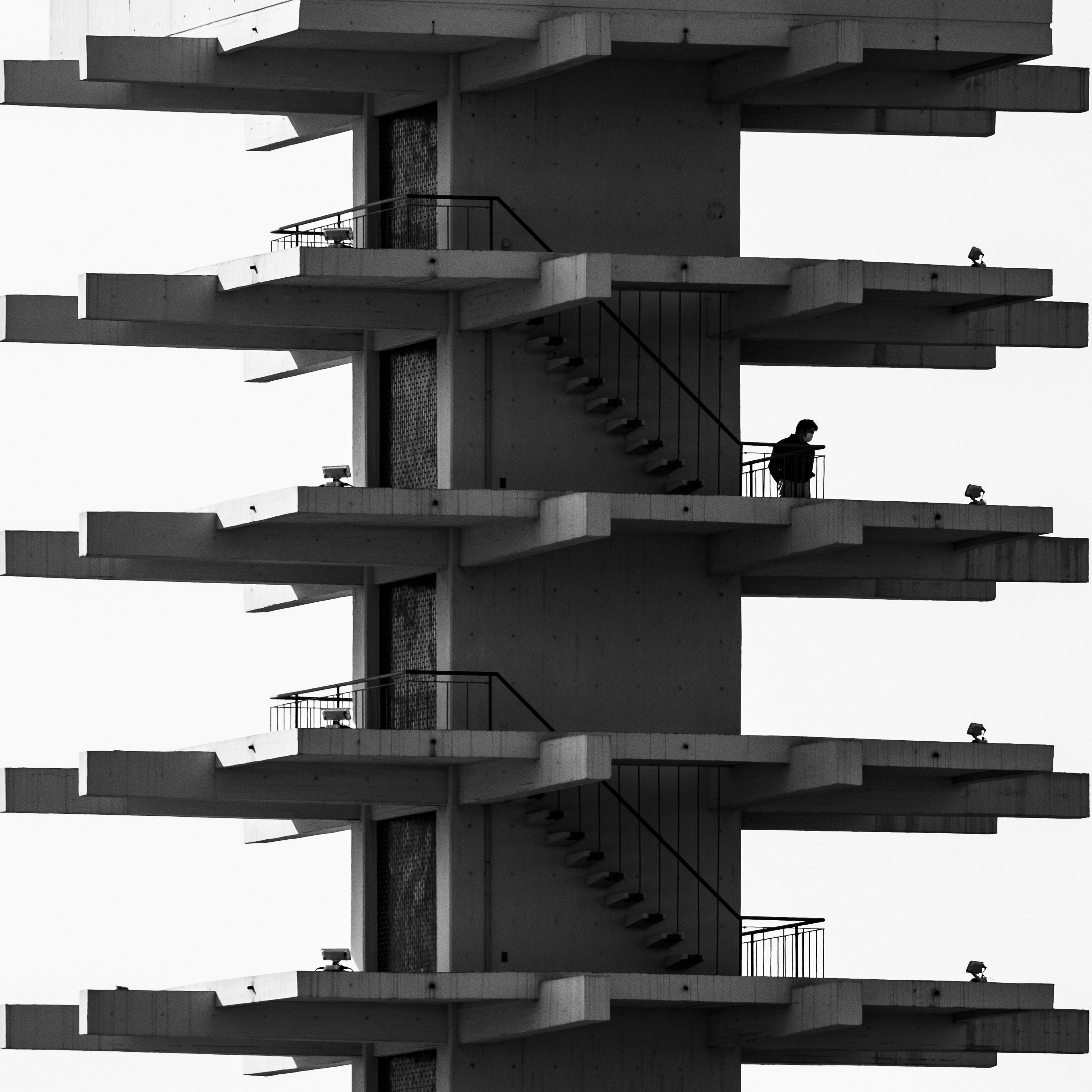 7 Cat Wall Bridges and Shelves Combo Ideas for Cats