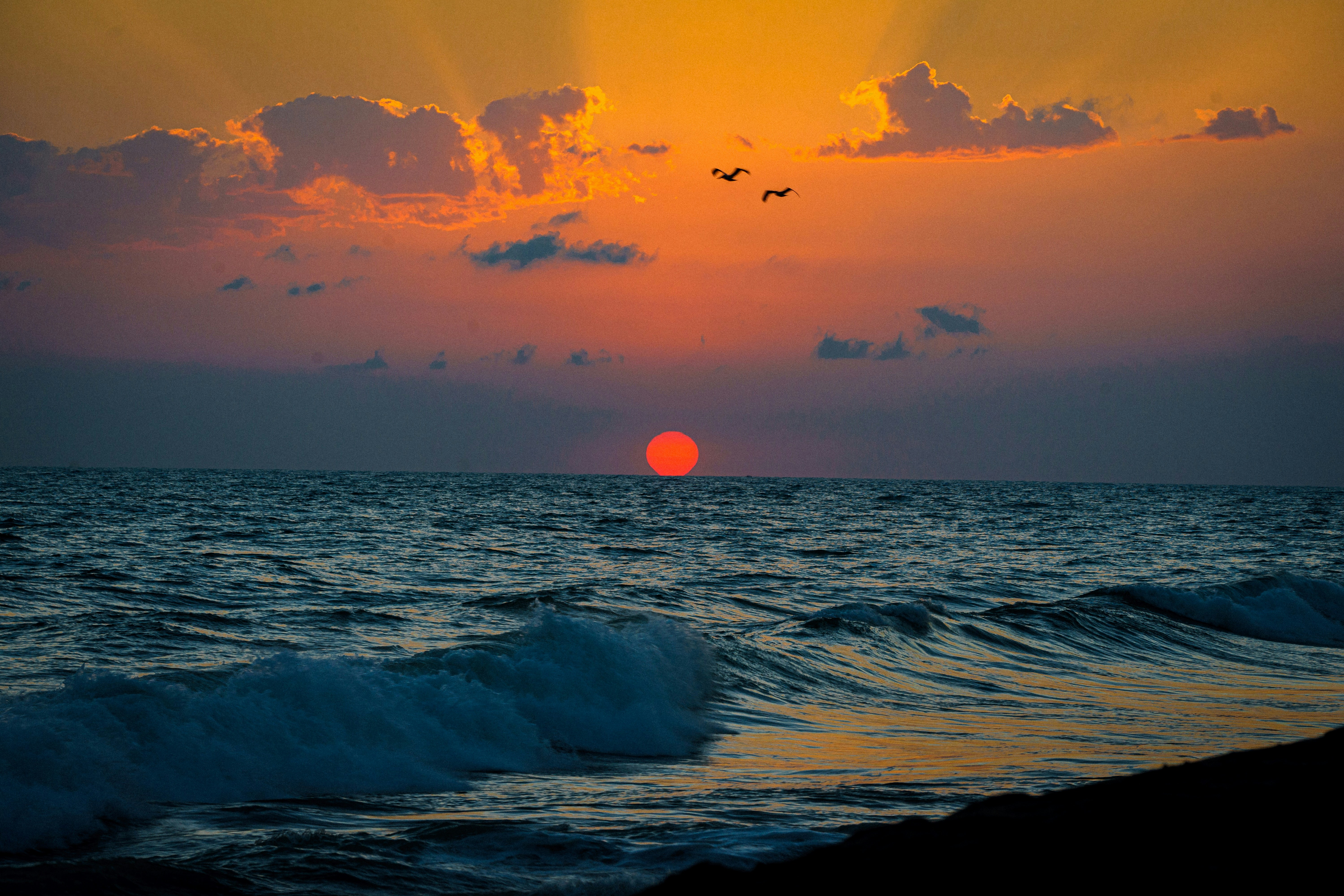 Photo by diegogironv