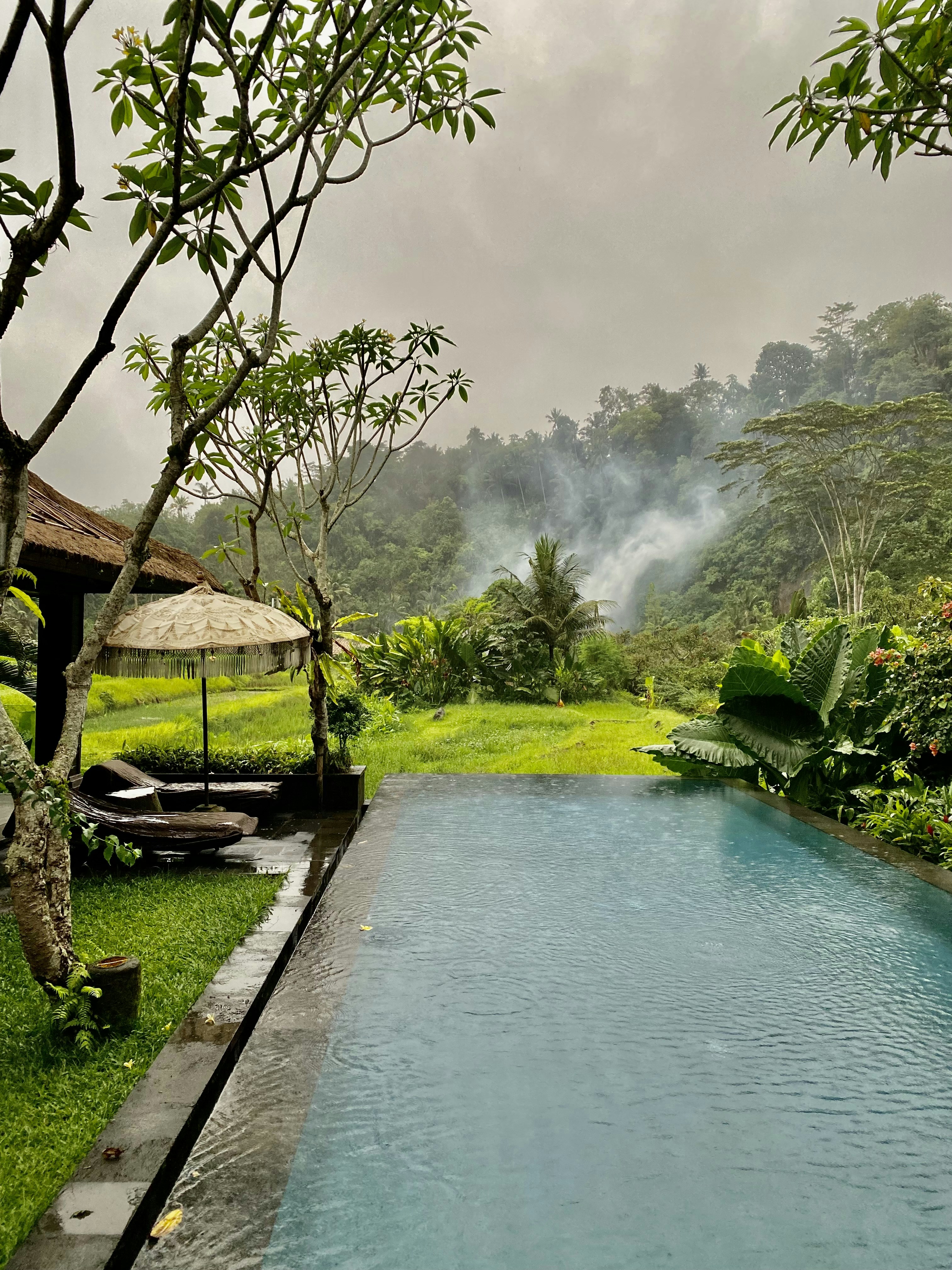 a small pool in a lush green garden