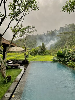 a small pool in a lush green garden