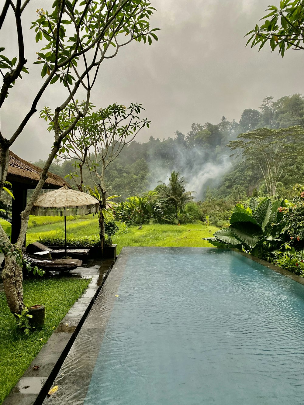 a small pool in a lush green garden
