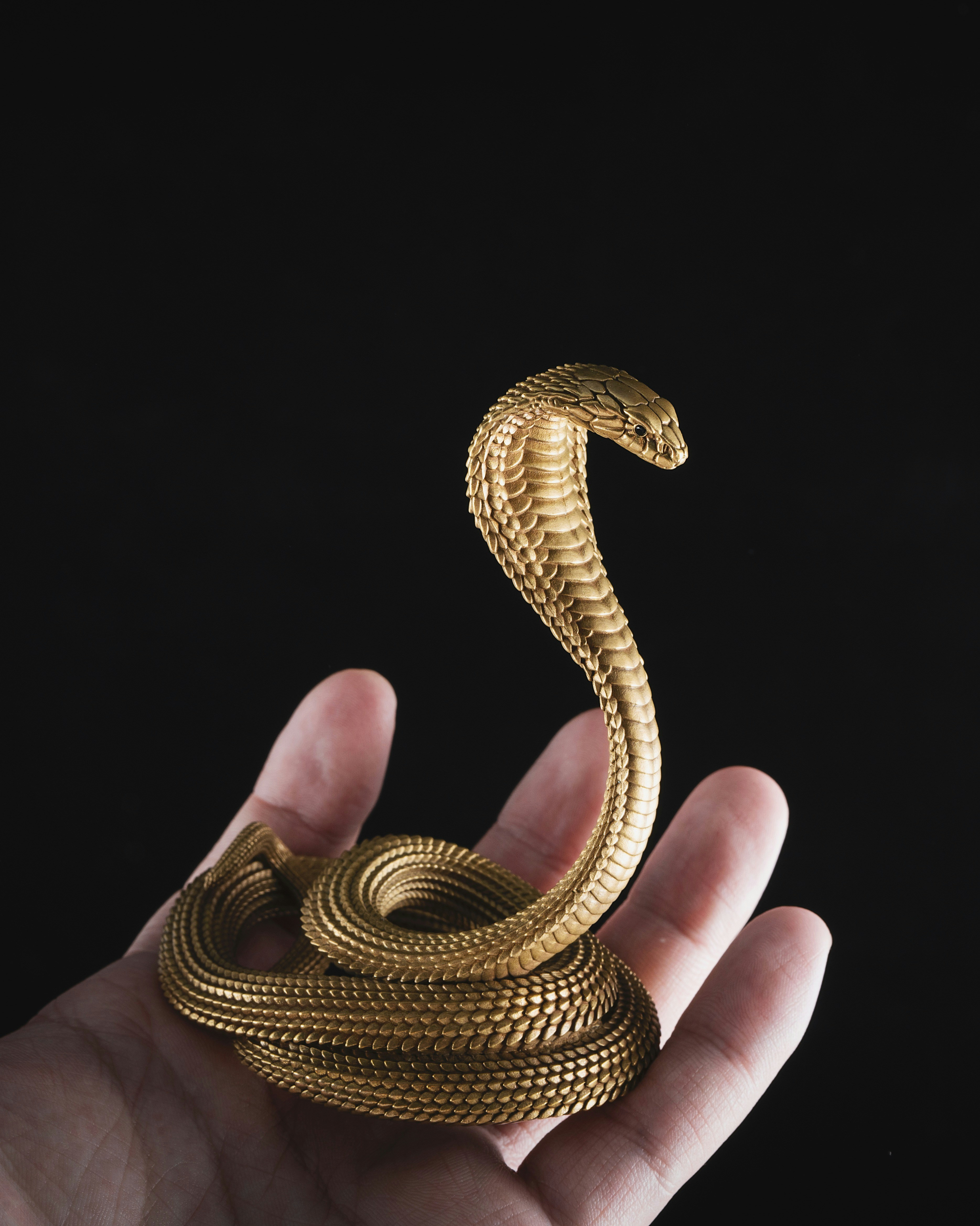 Cobra Phone Stand