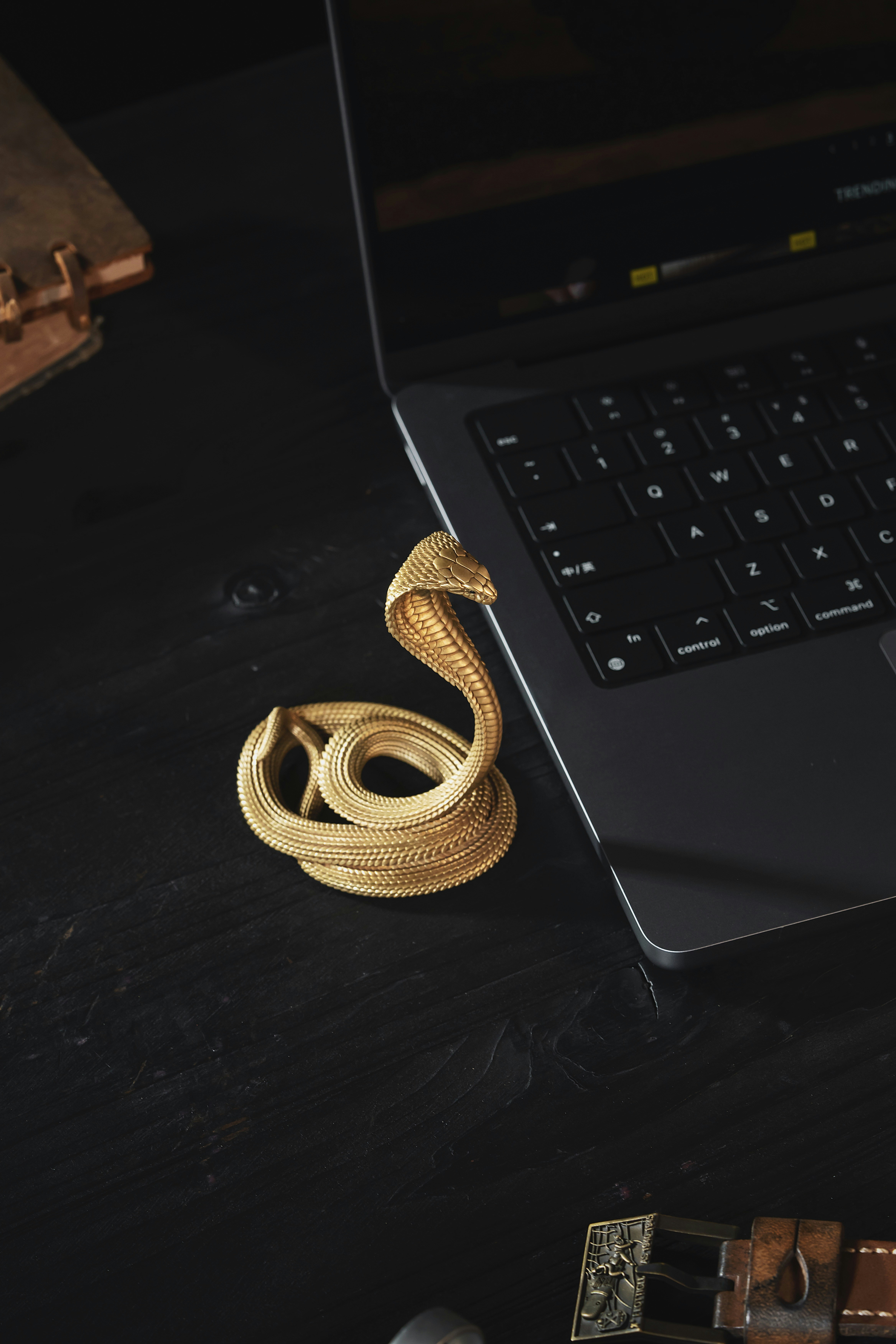 Photo by coppertistwu