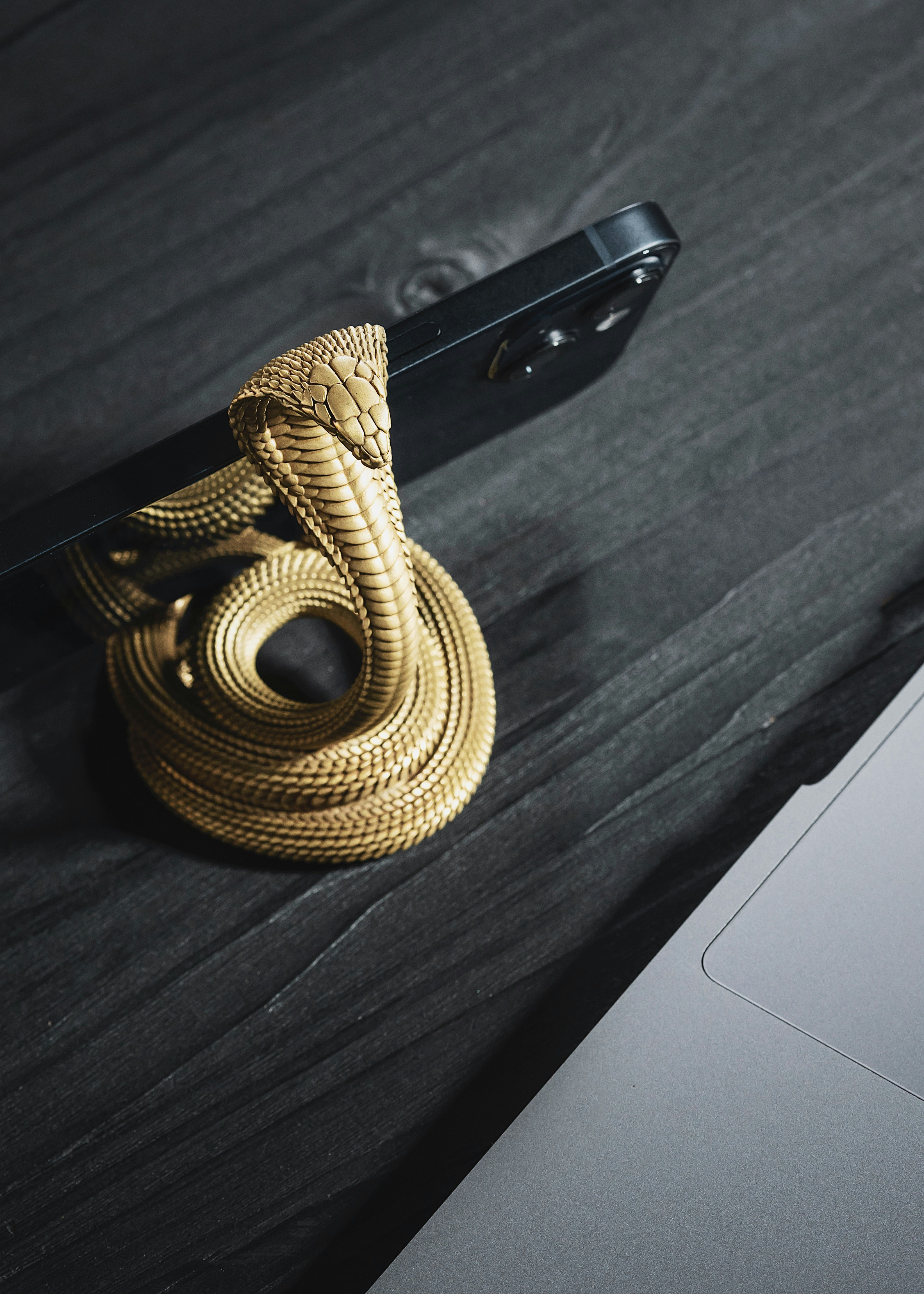 Photo by coppertistwu