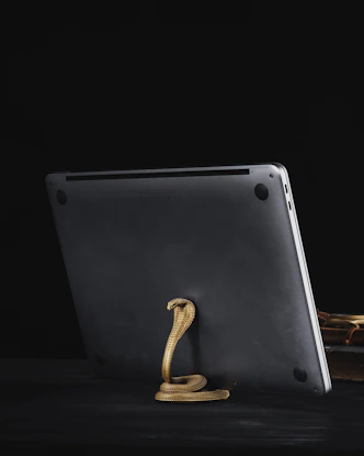 a laptop with a gold snake on it