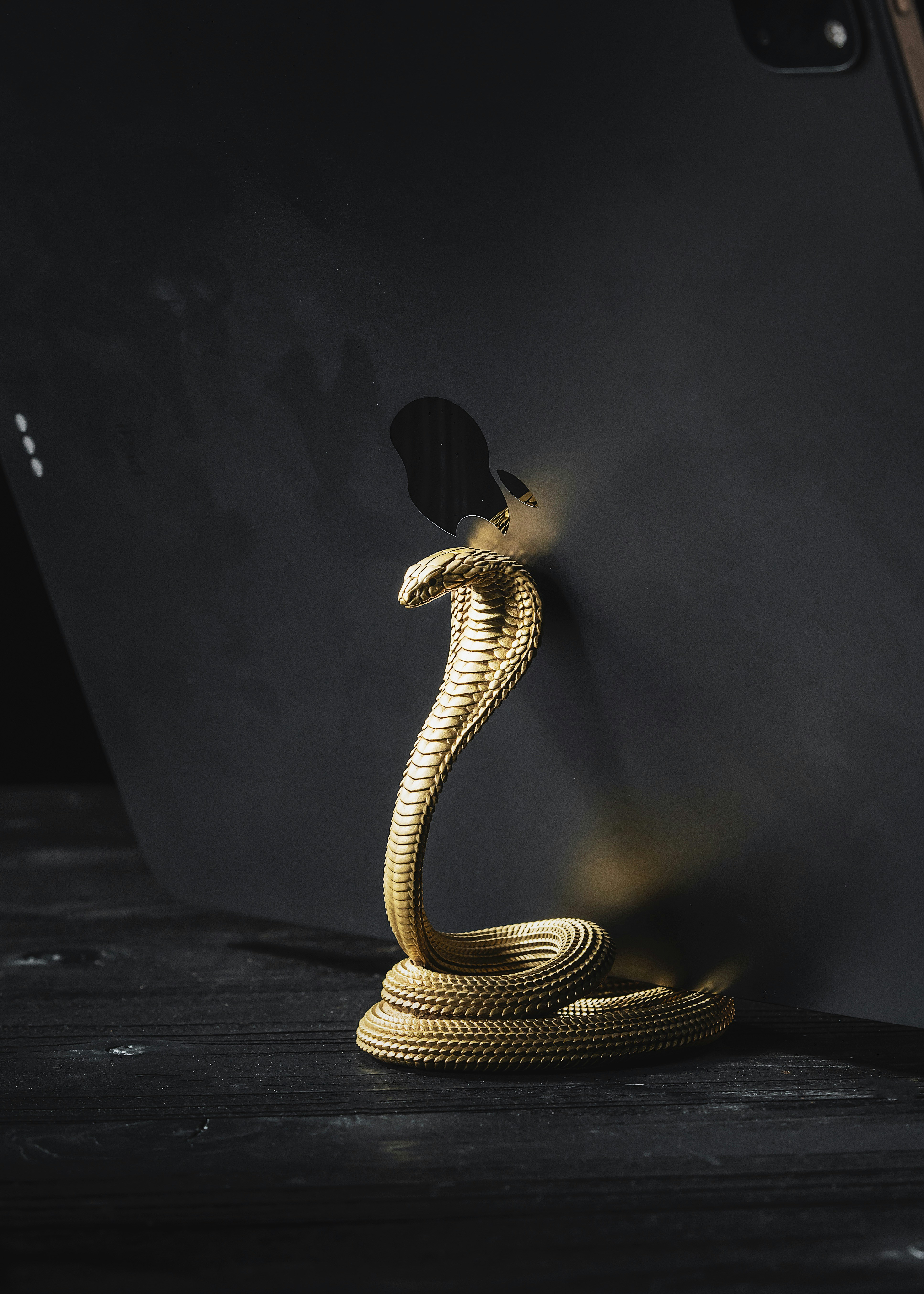 Cobra Phone Stand