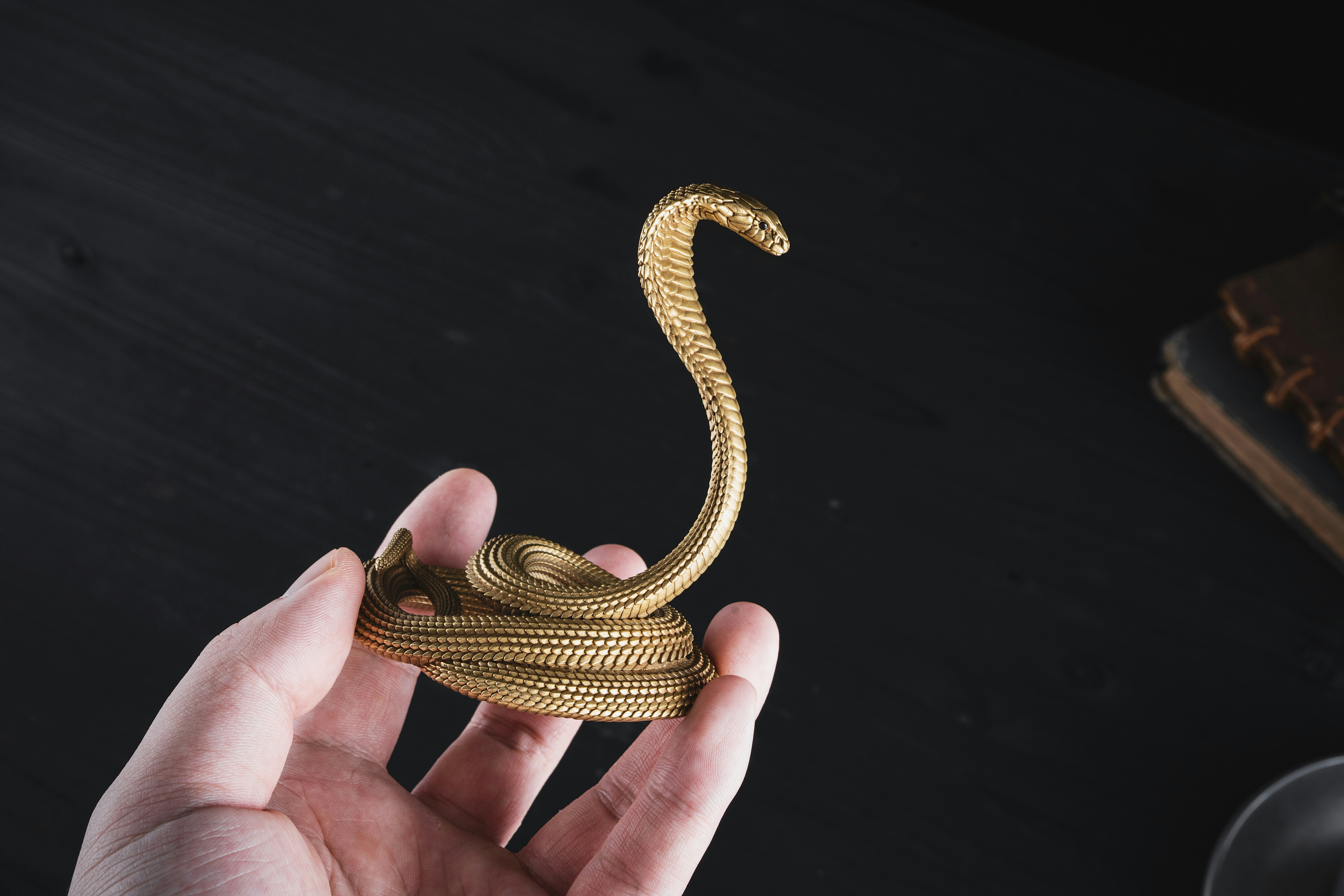 a person holding a gold snake ring in their hand
