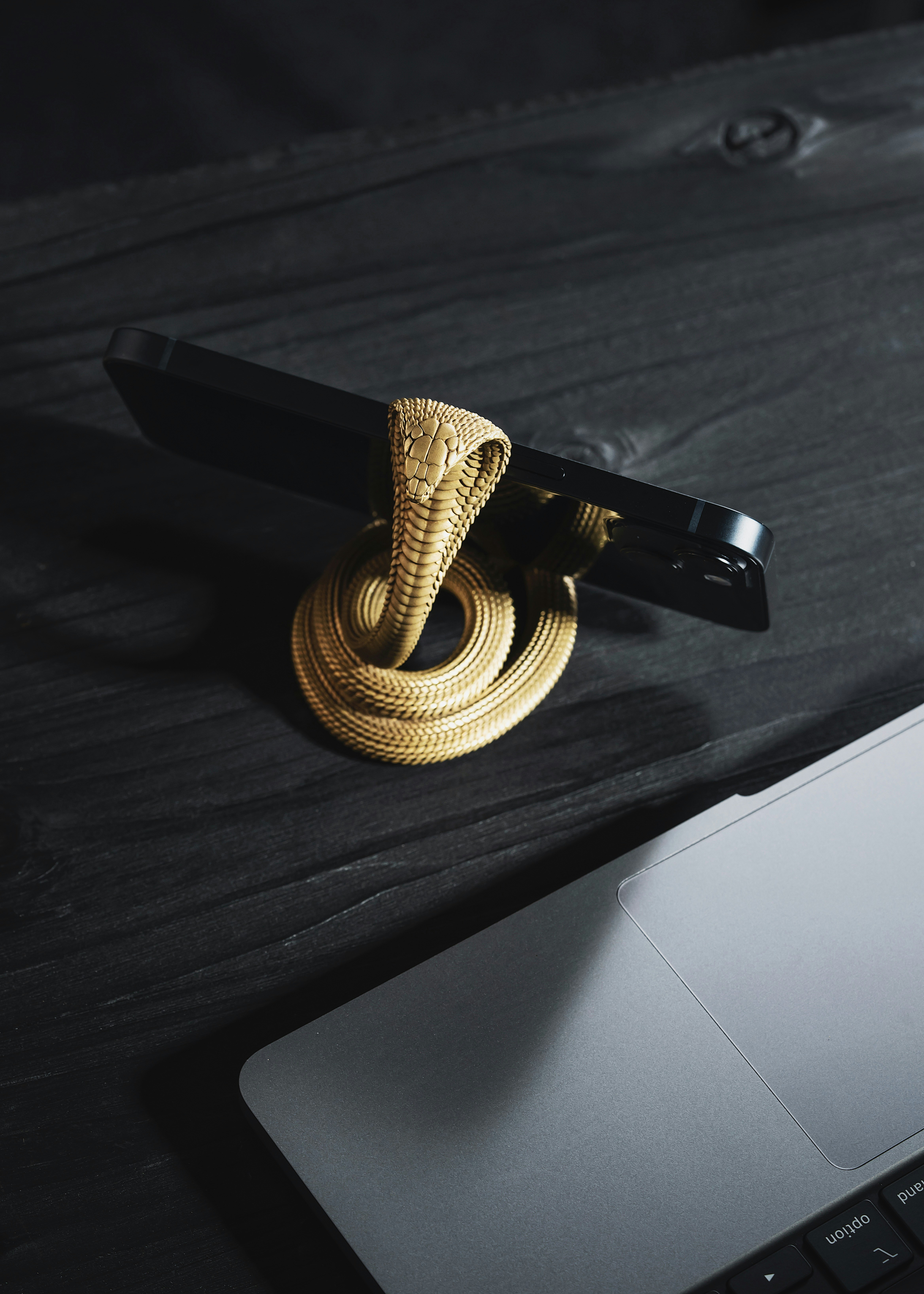 Photo by coppertistwu