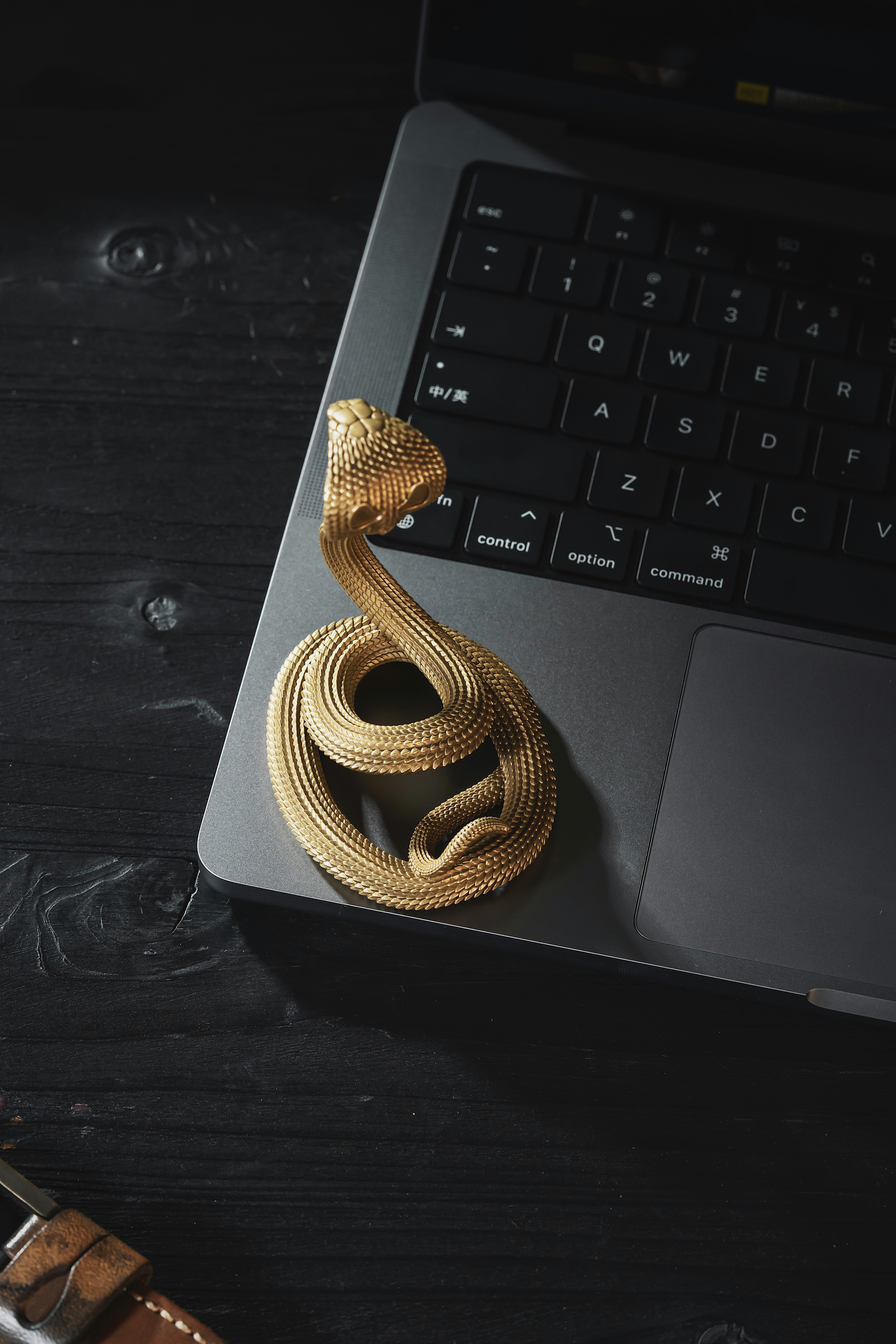 Photo by coppertistwu