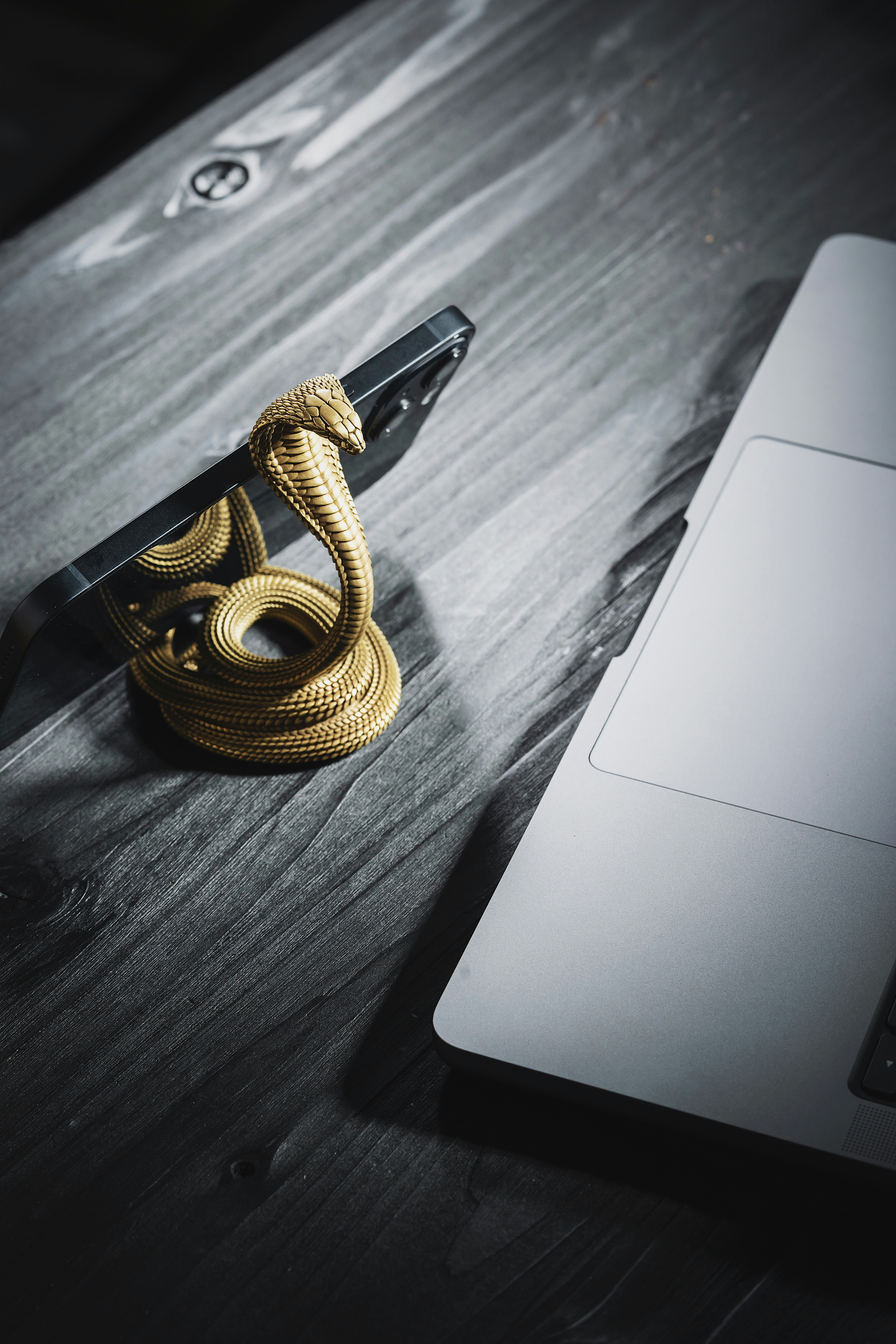 Photo by coppertistwu