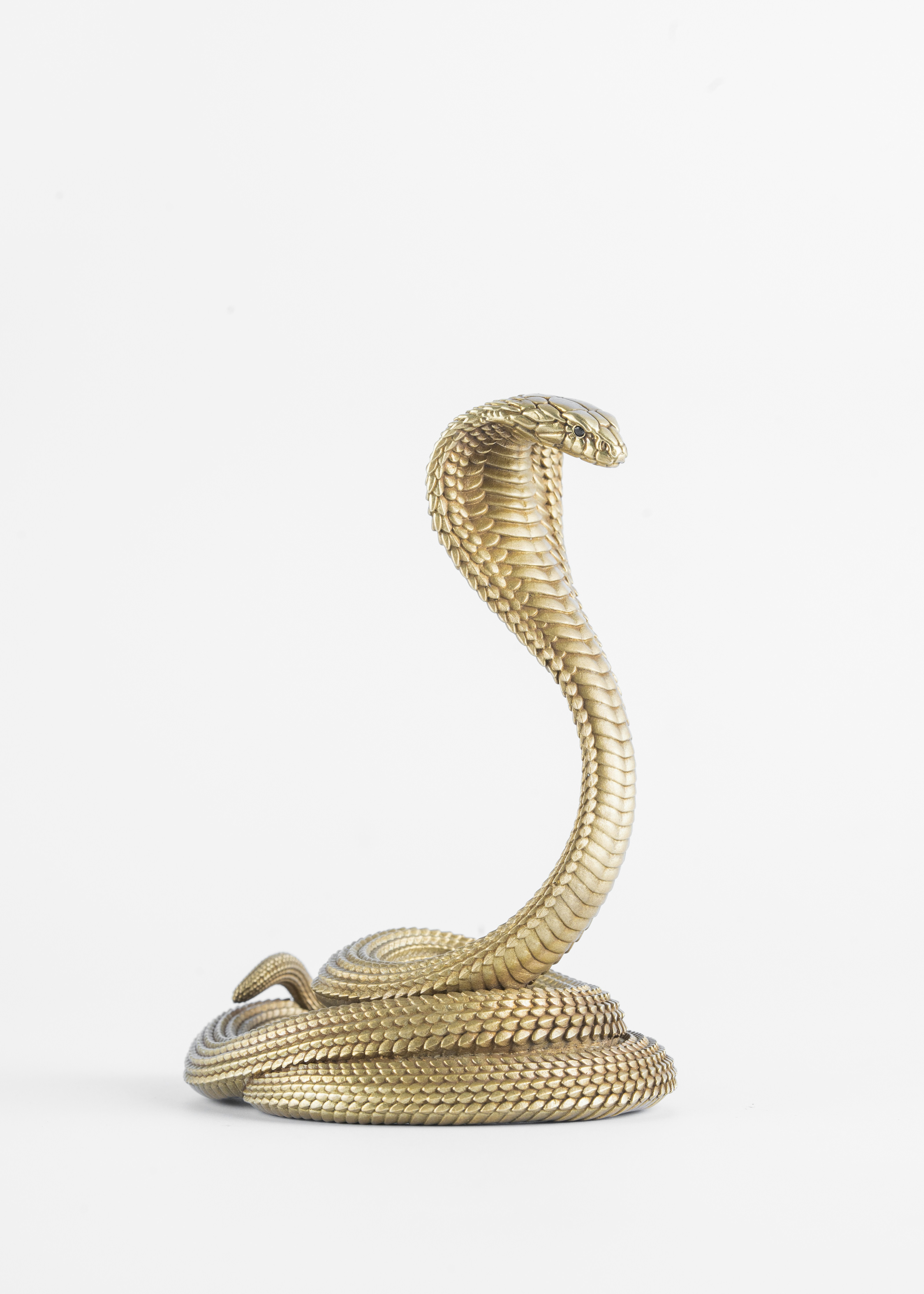 A gold snake statue on a white background photo Free Cobra Image on