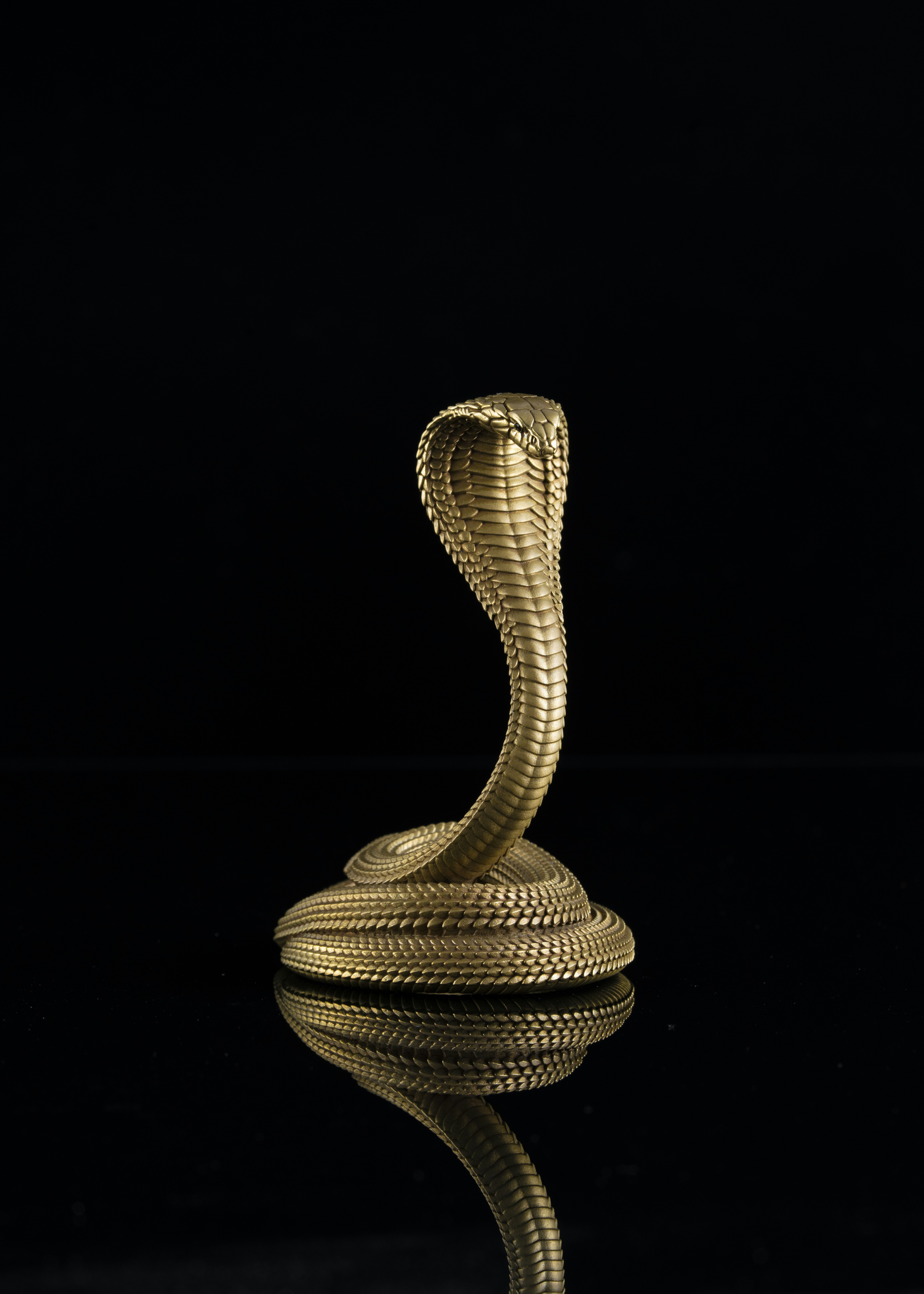 Photo by coppertistwu