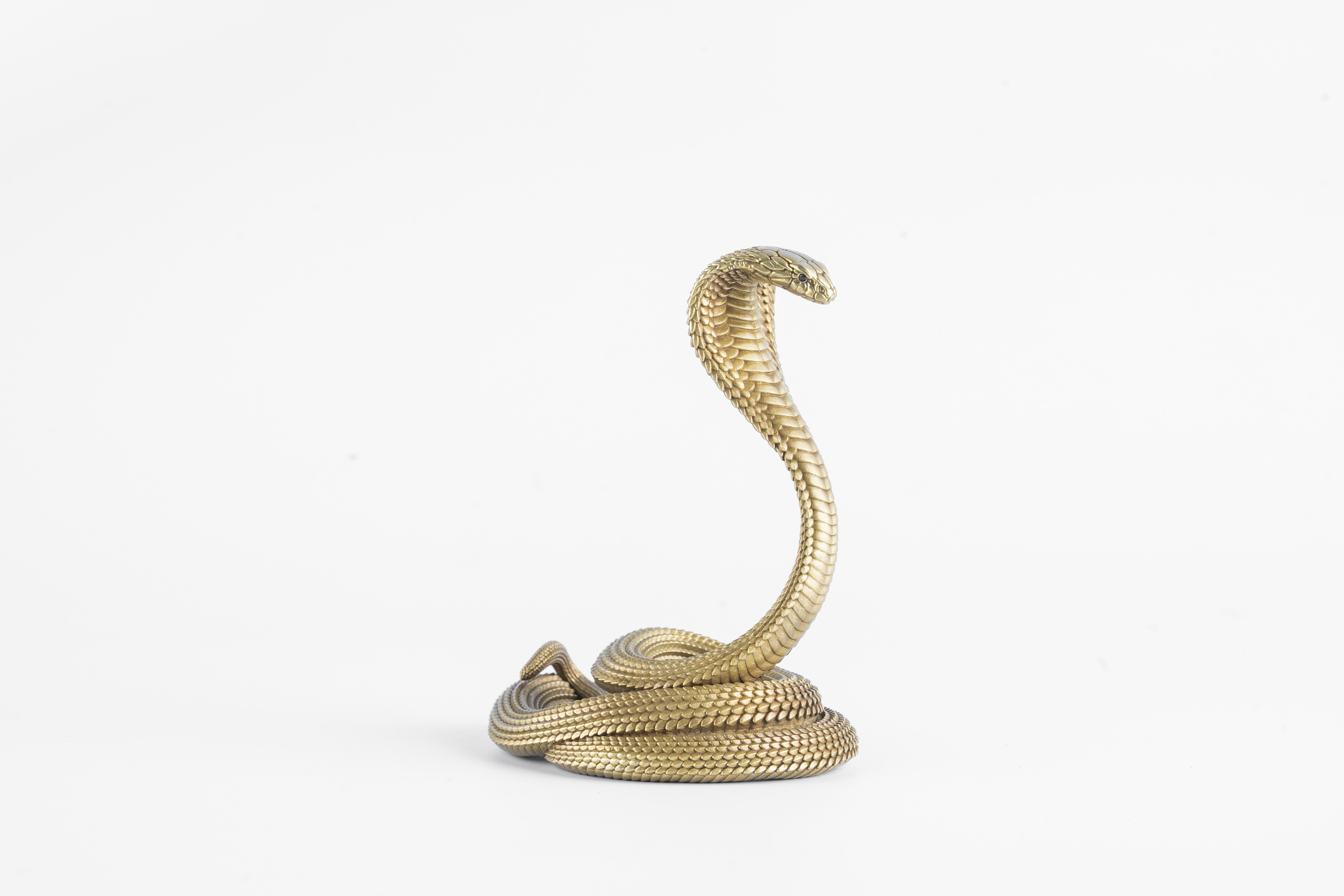 Photo by coppertistwu