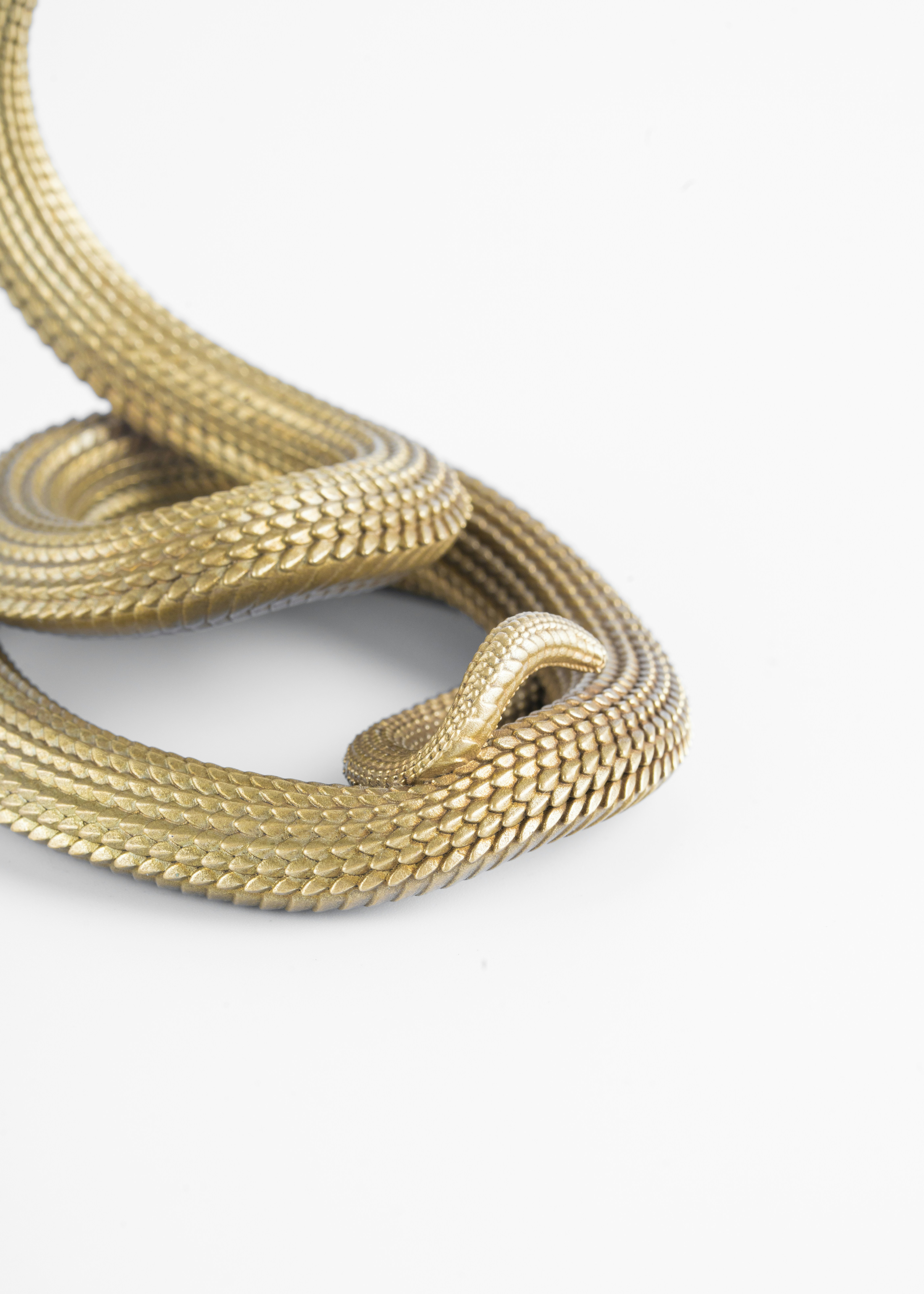 Photo by coppertistwu