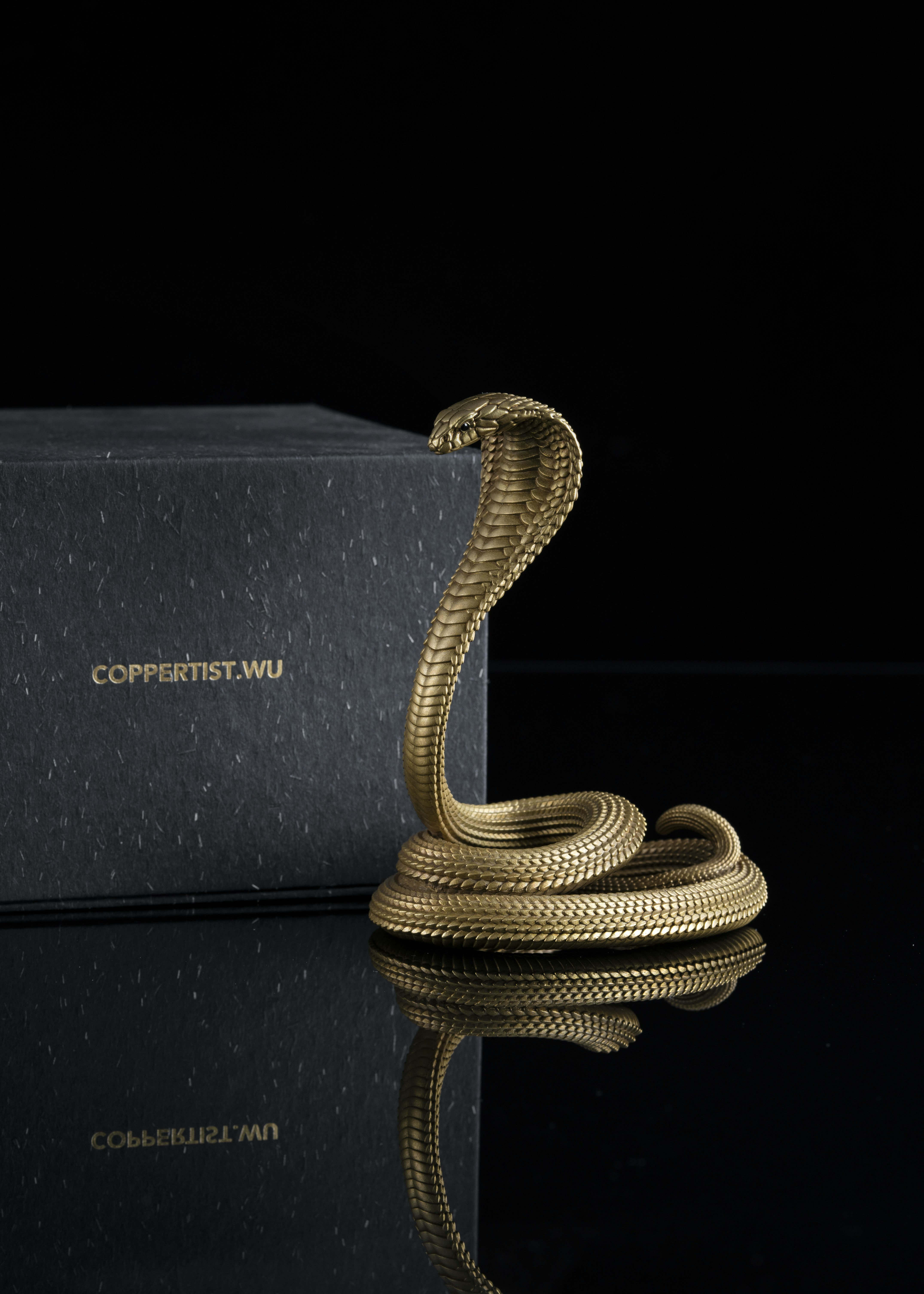 Photo by coppertistwu