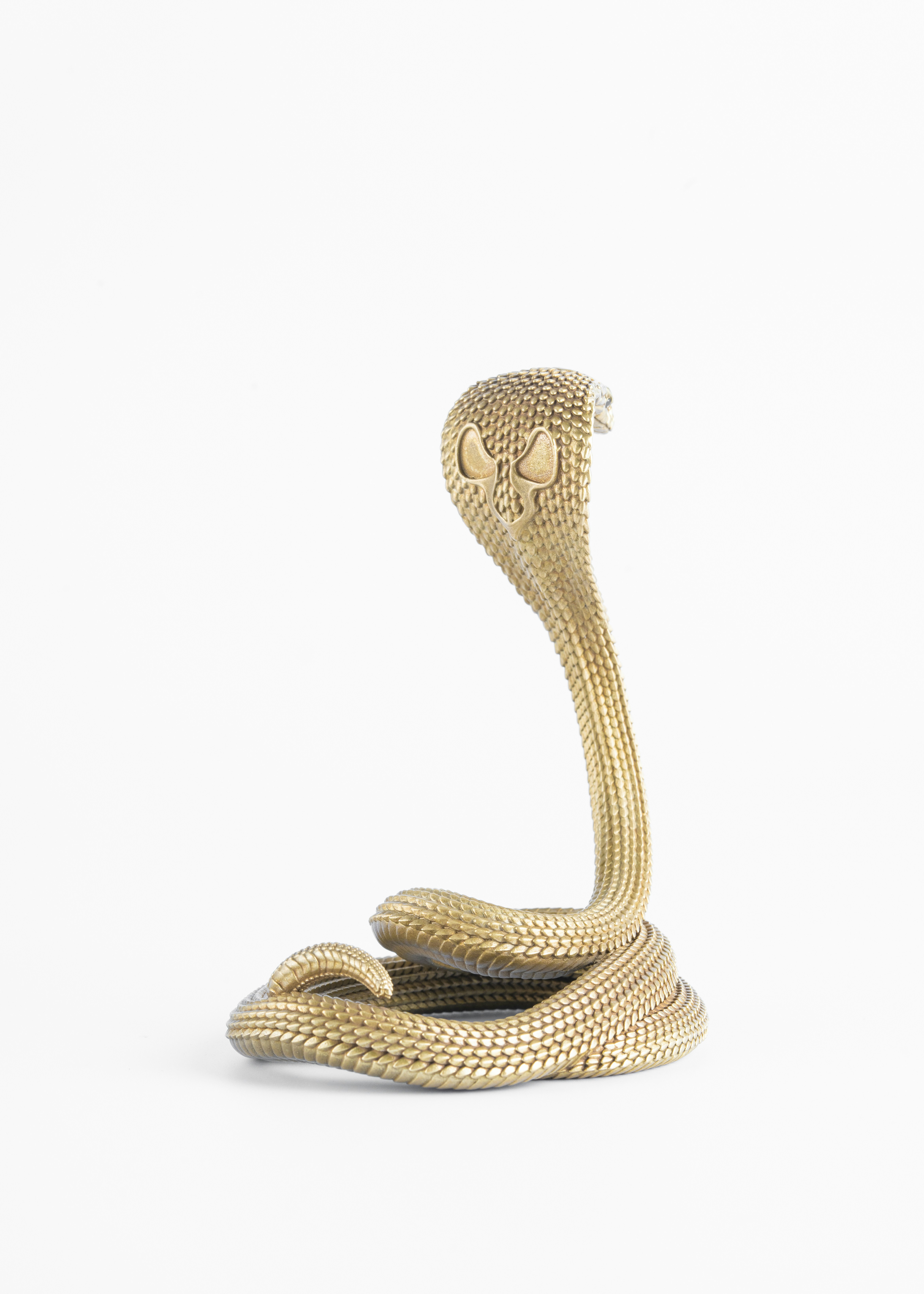 Photo by coppertistwu