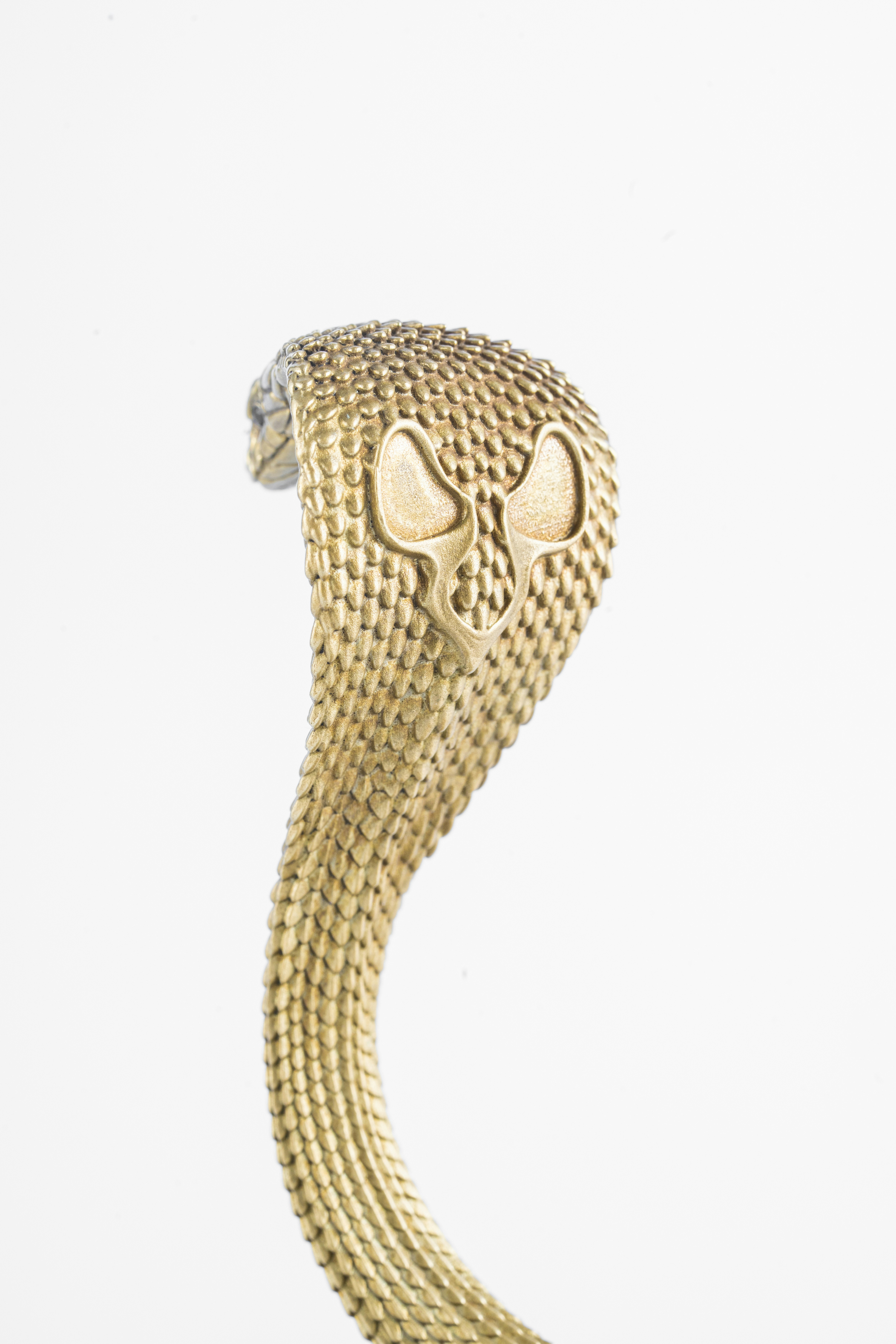 Photo by coppertistwu