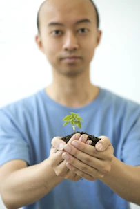 A close-up of hands holding soil with a small plant growing