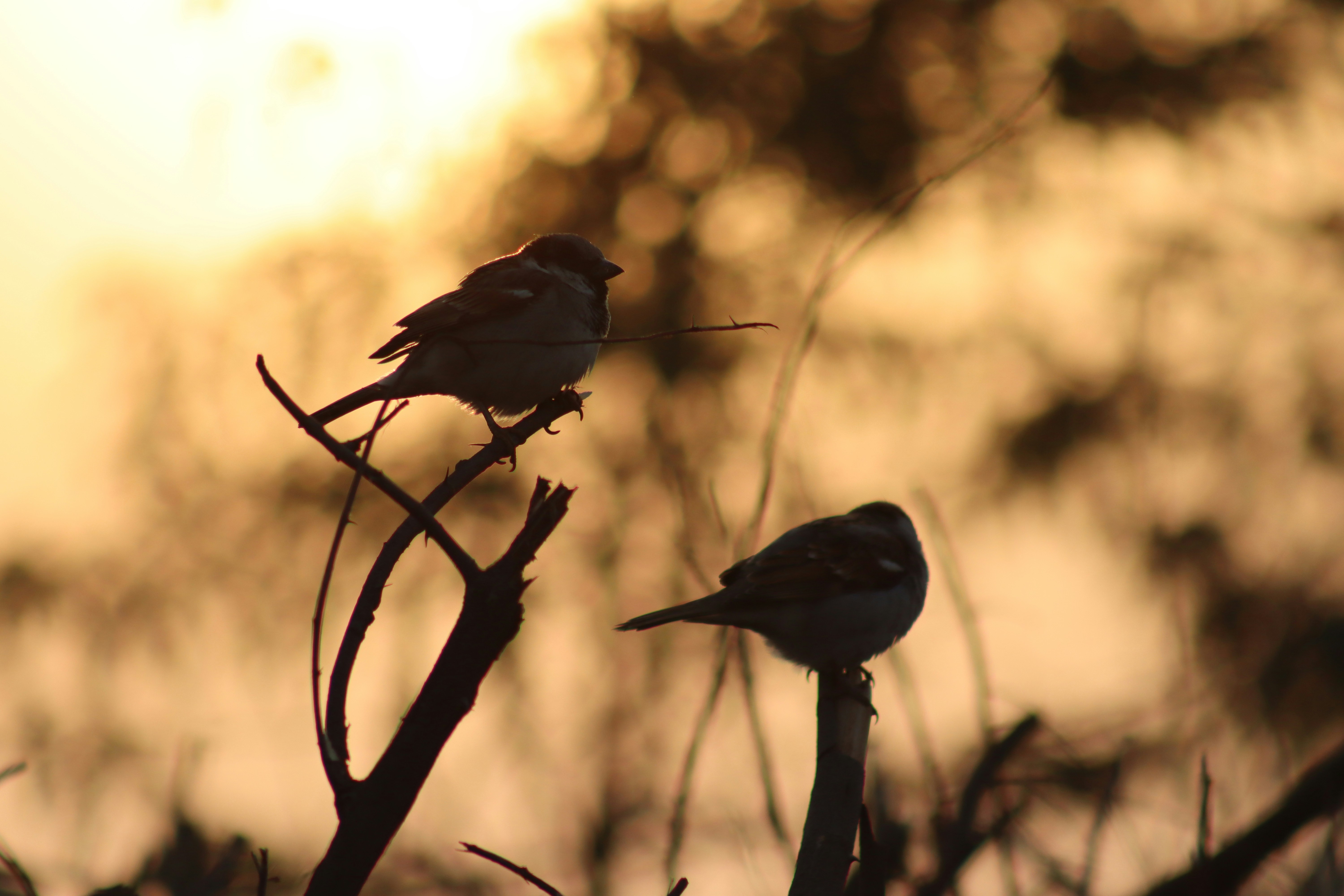 Photo by drphotographer152